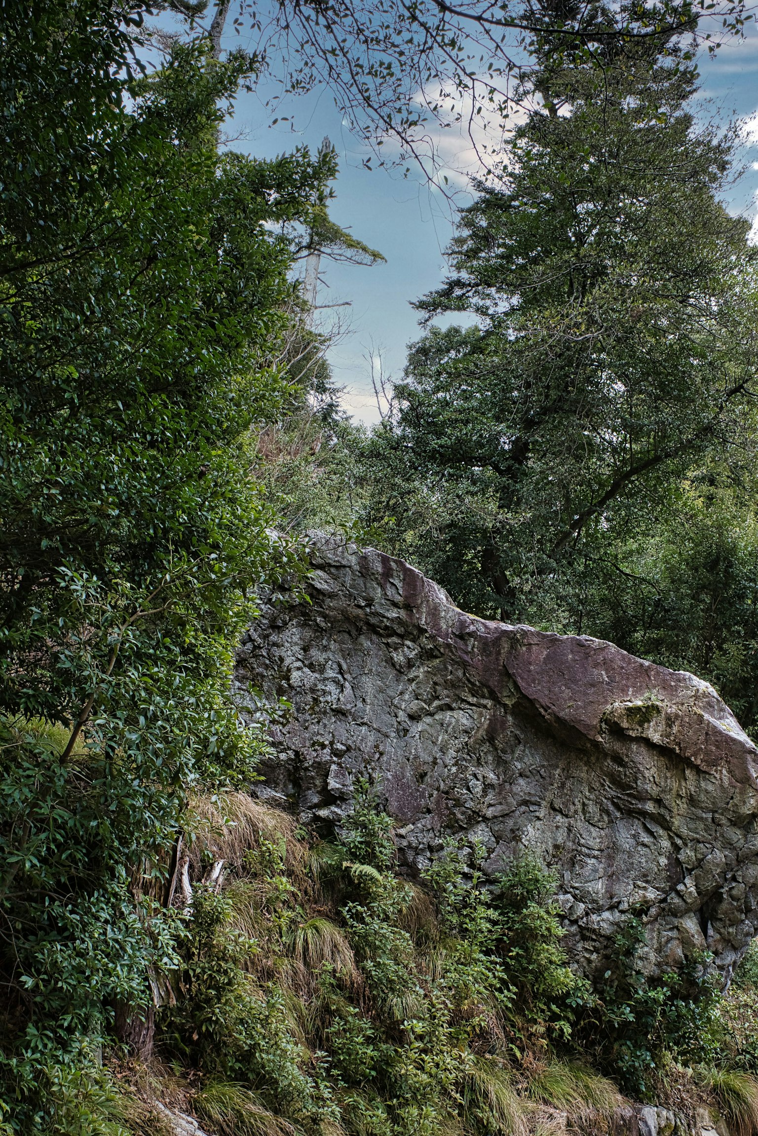 Naturlandschaft mit üppigem Grün und markanten Felsformationen