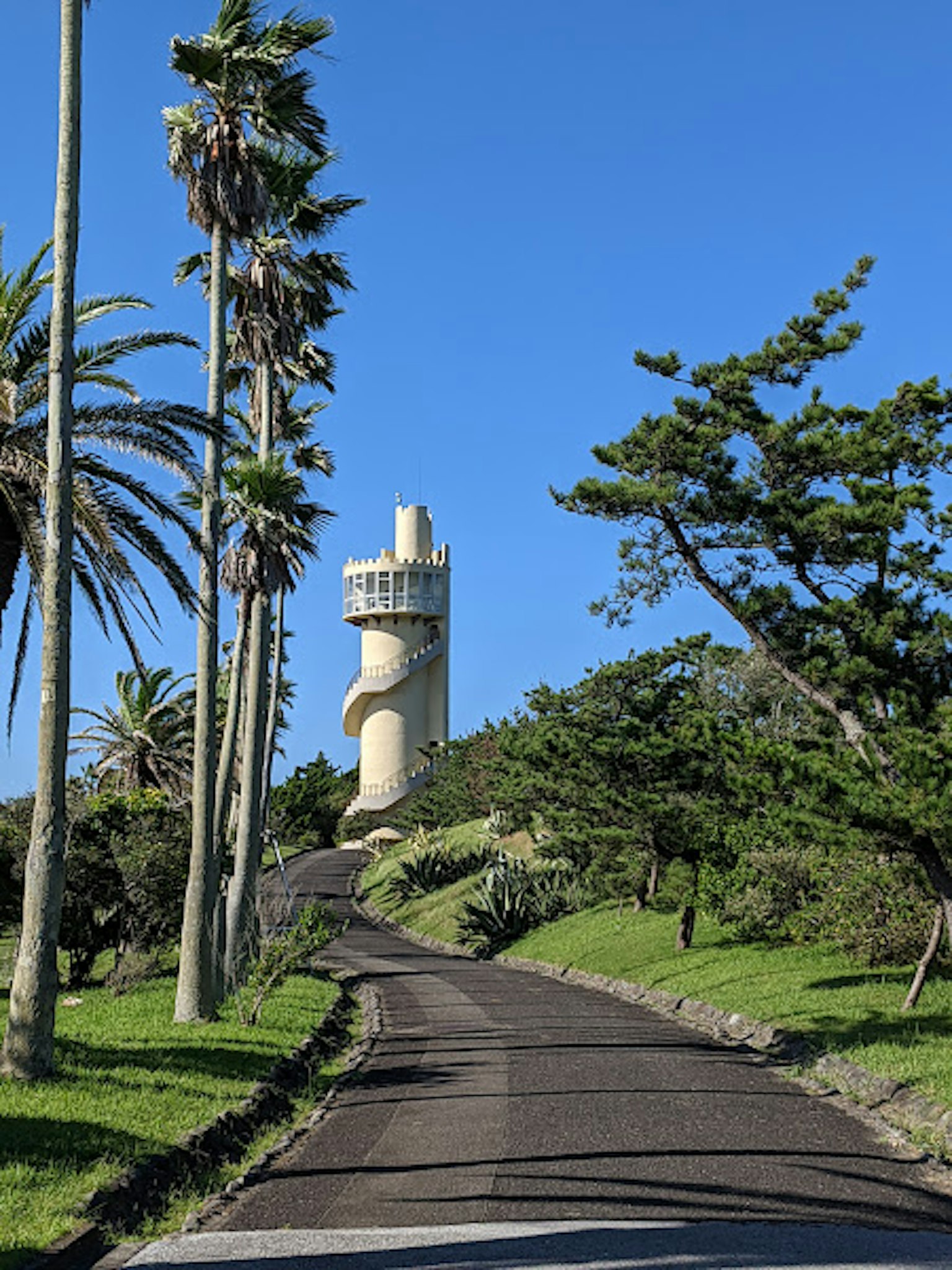 Unique tower along a winding road with palm trees
