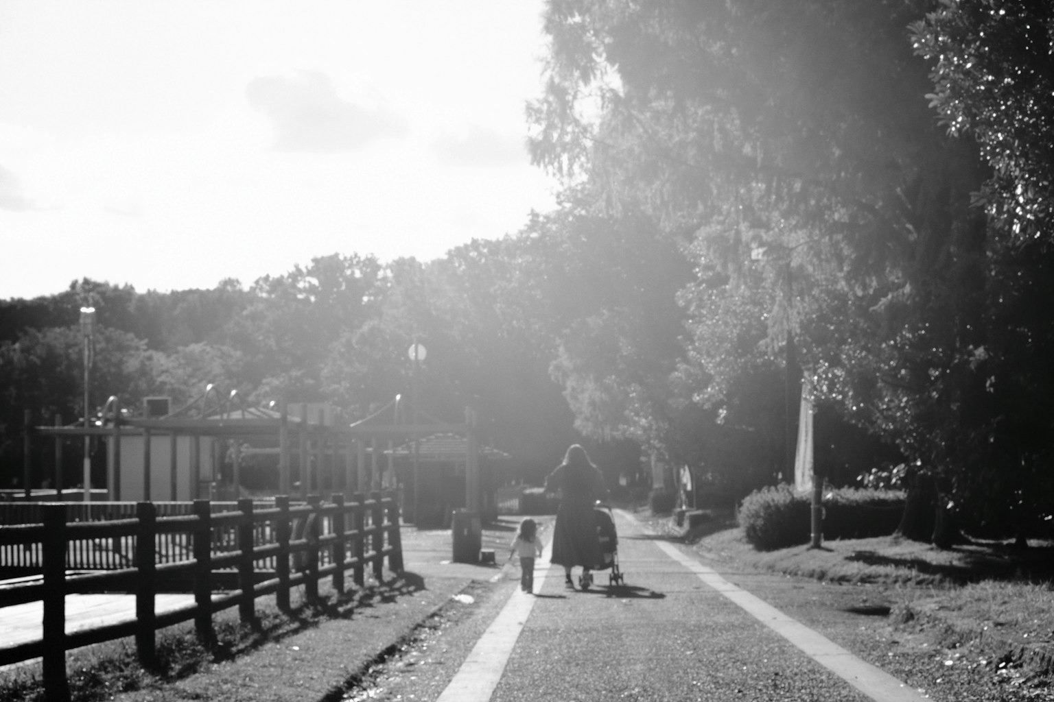 公園小路上行走的人們的輪廓，背景有樹木