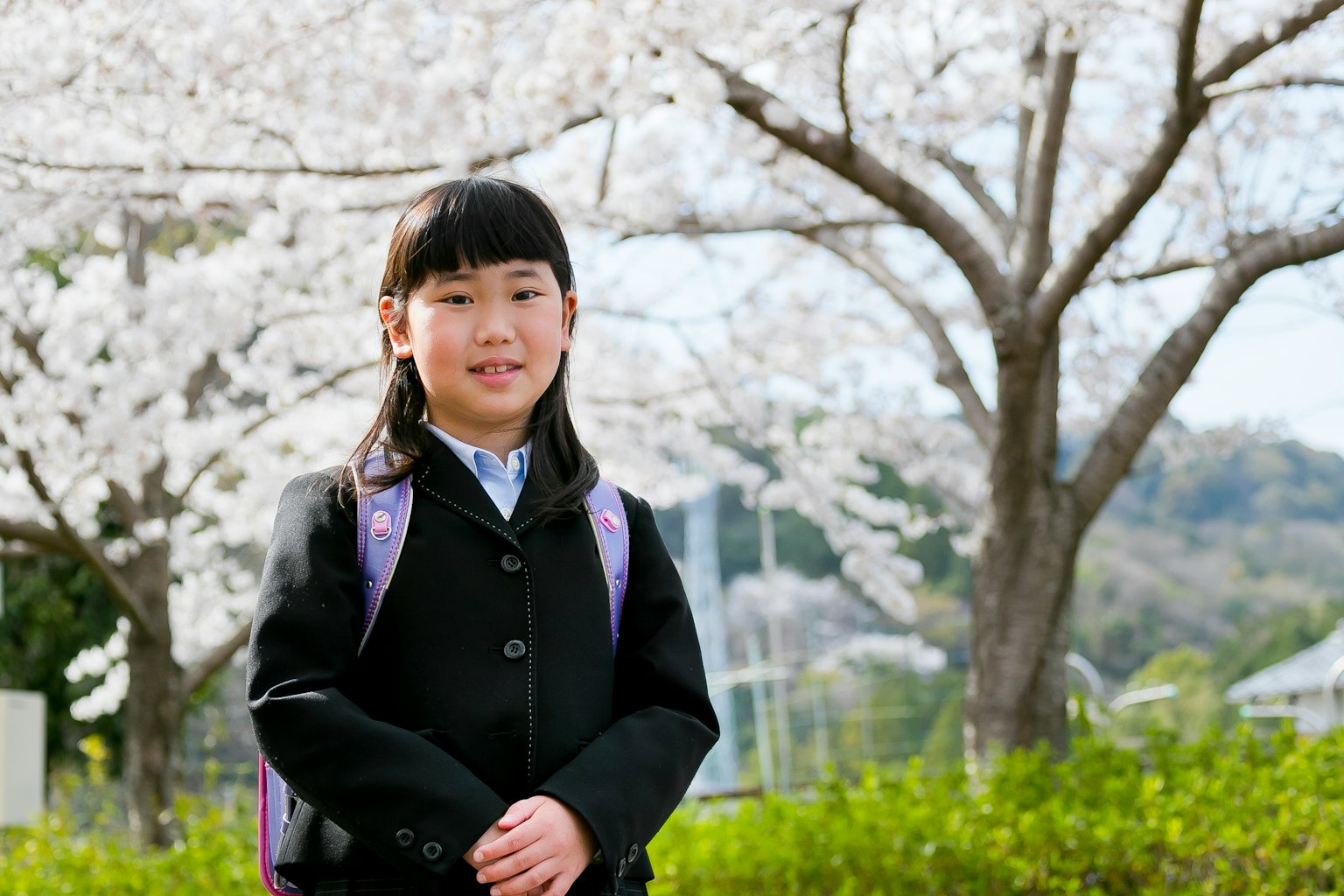 穿着黑色制服的年轻女孩站在樱花树前，背着紫色背包