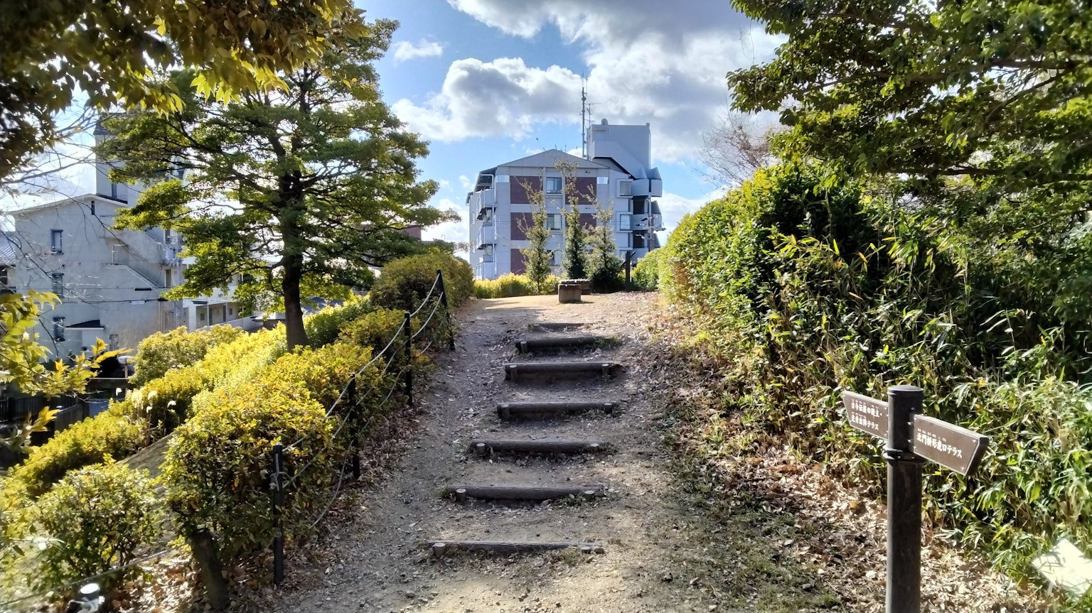 Chemin avec des escaliers menant à un bâtiment entouré de verdure