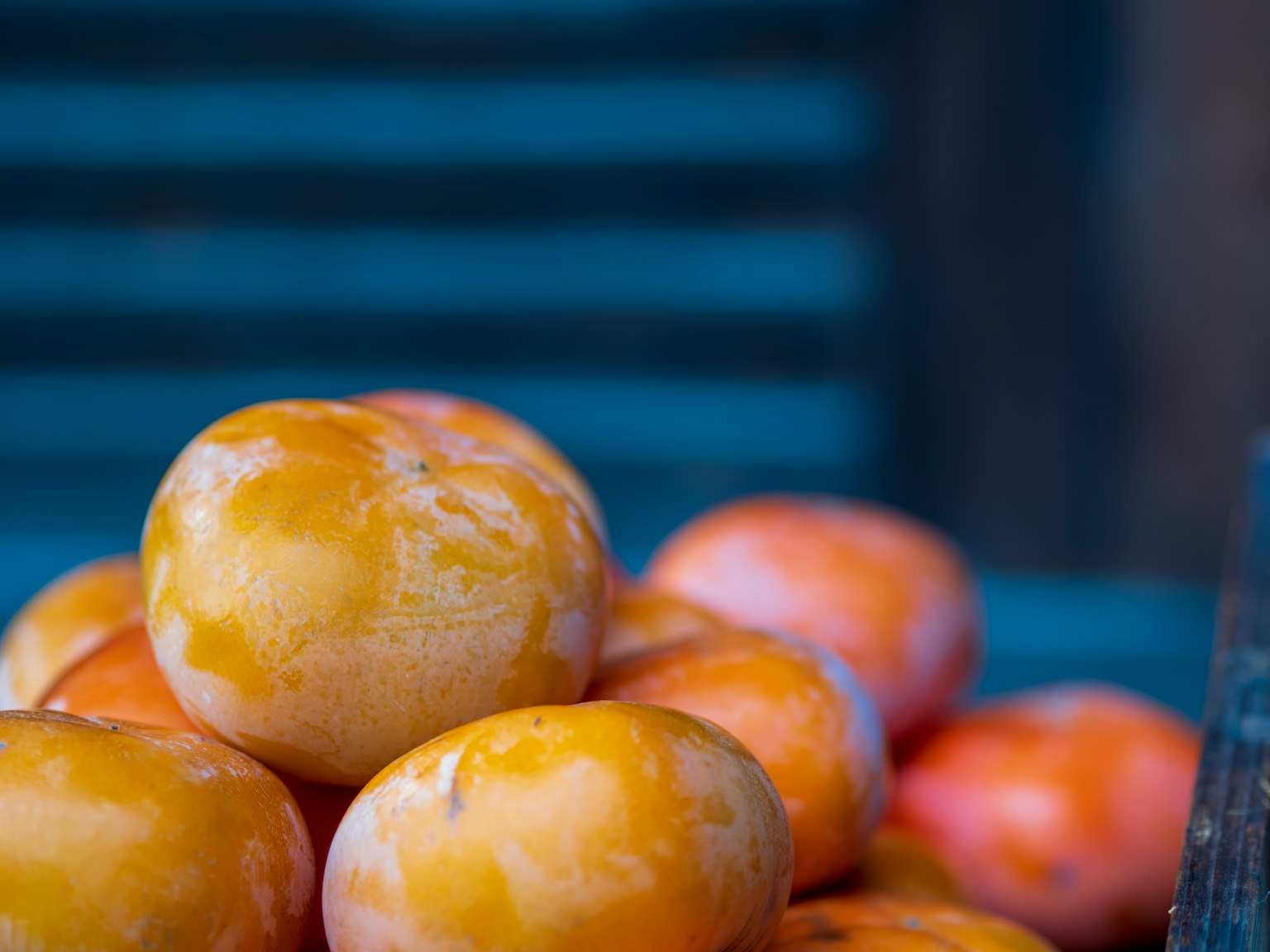 Une pile de prunes vibrantes devant un fond bleu