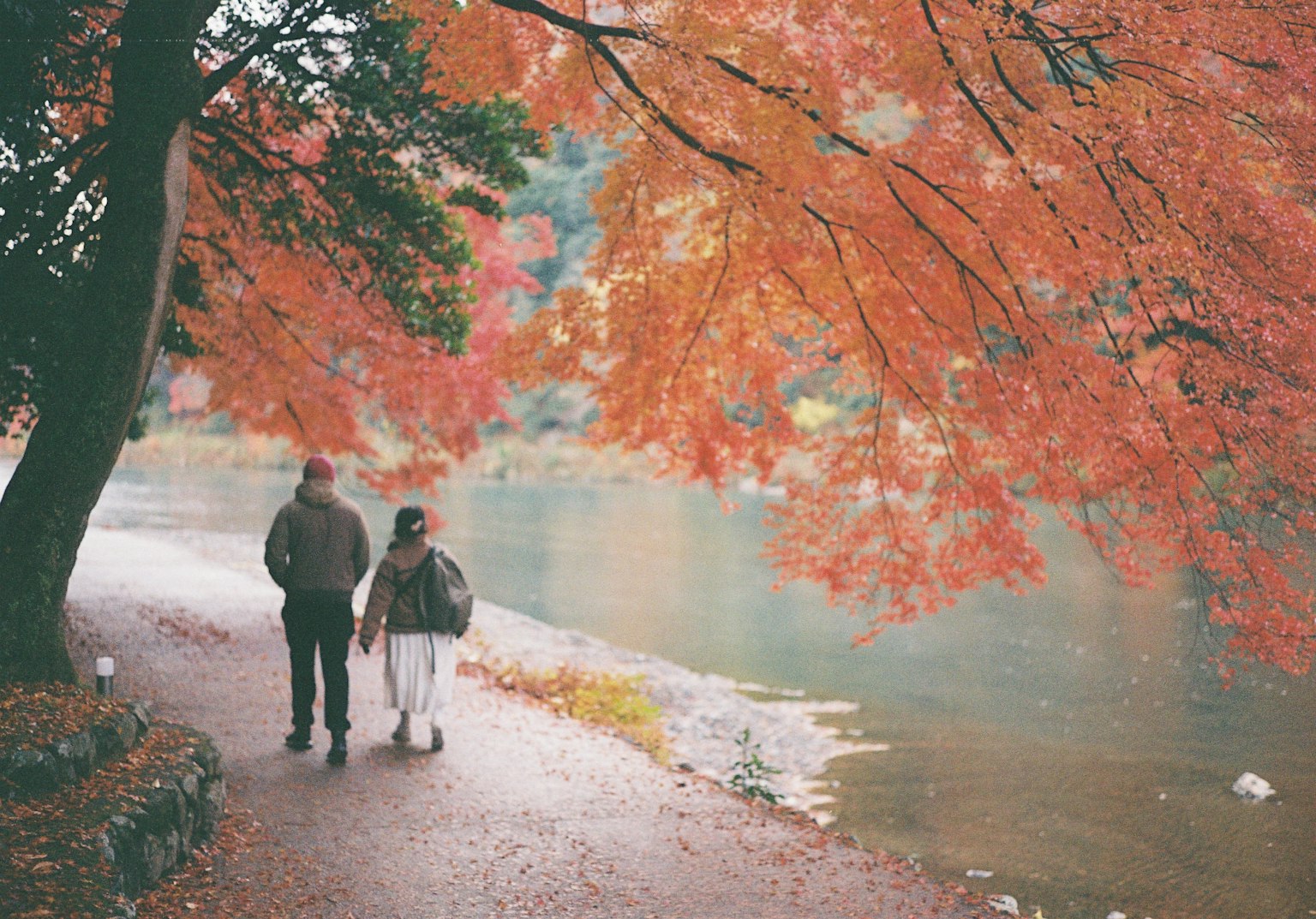 Couple walking under vibrant autumn leaves by the river