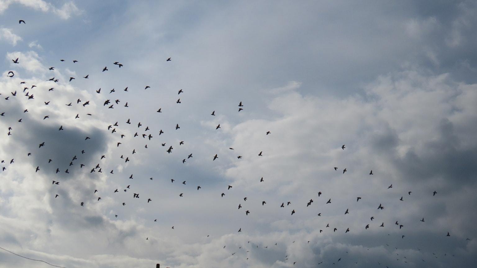 Un cielo lleno de numerosos globos y nubes