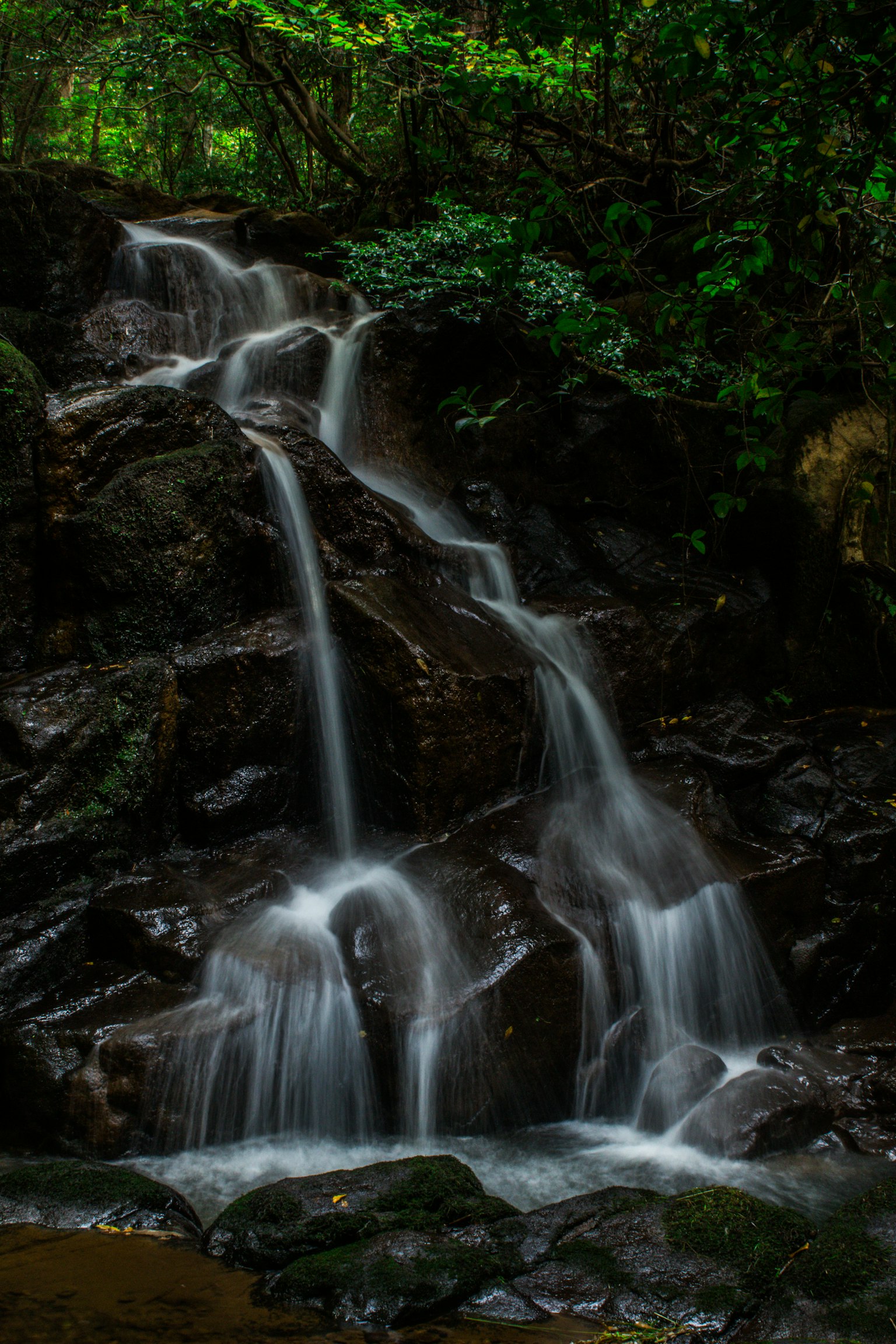 A small waterfall cascading over rocks in a lush green forest