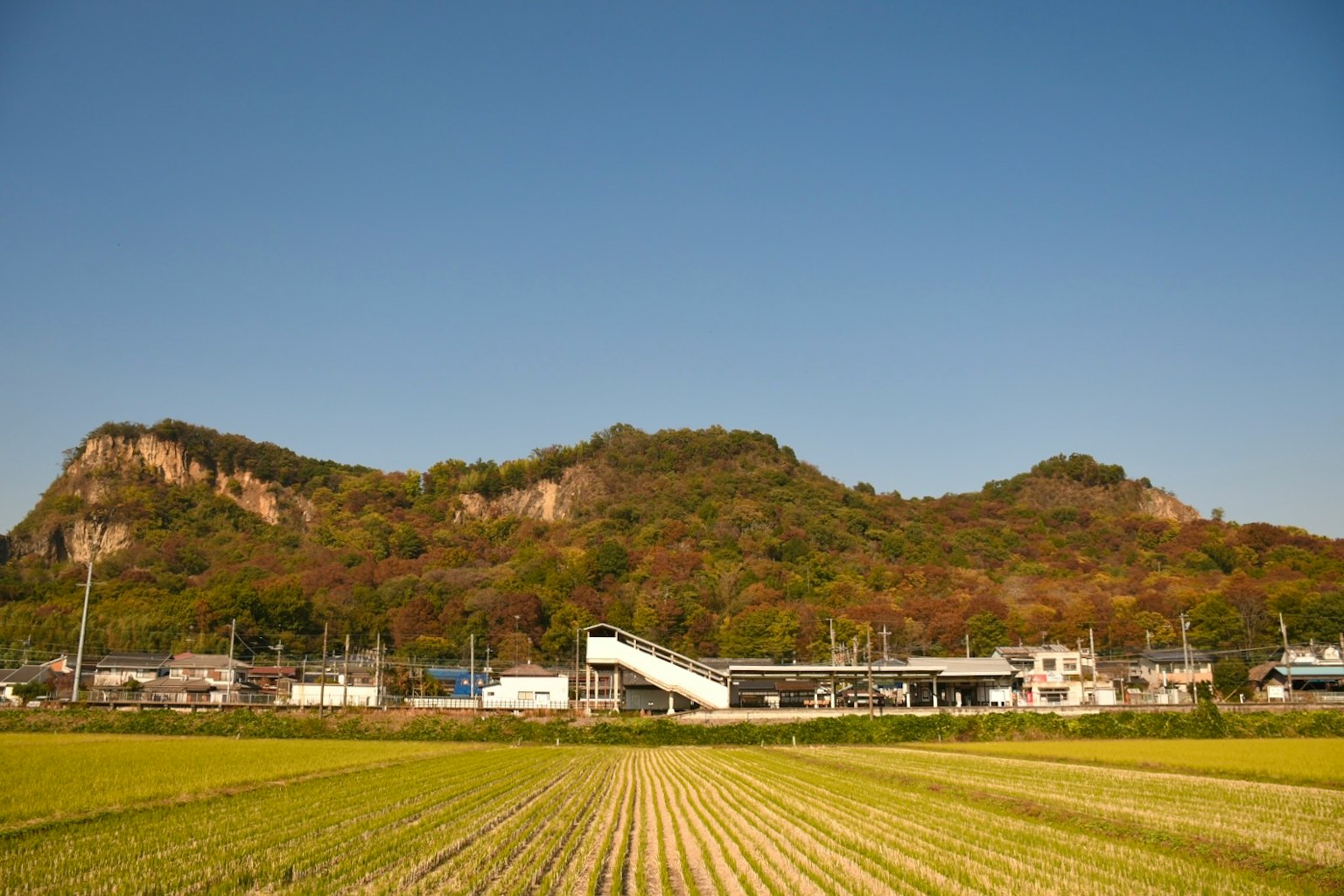 藍天下的稻田和火車站的風景，背景有山