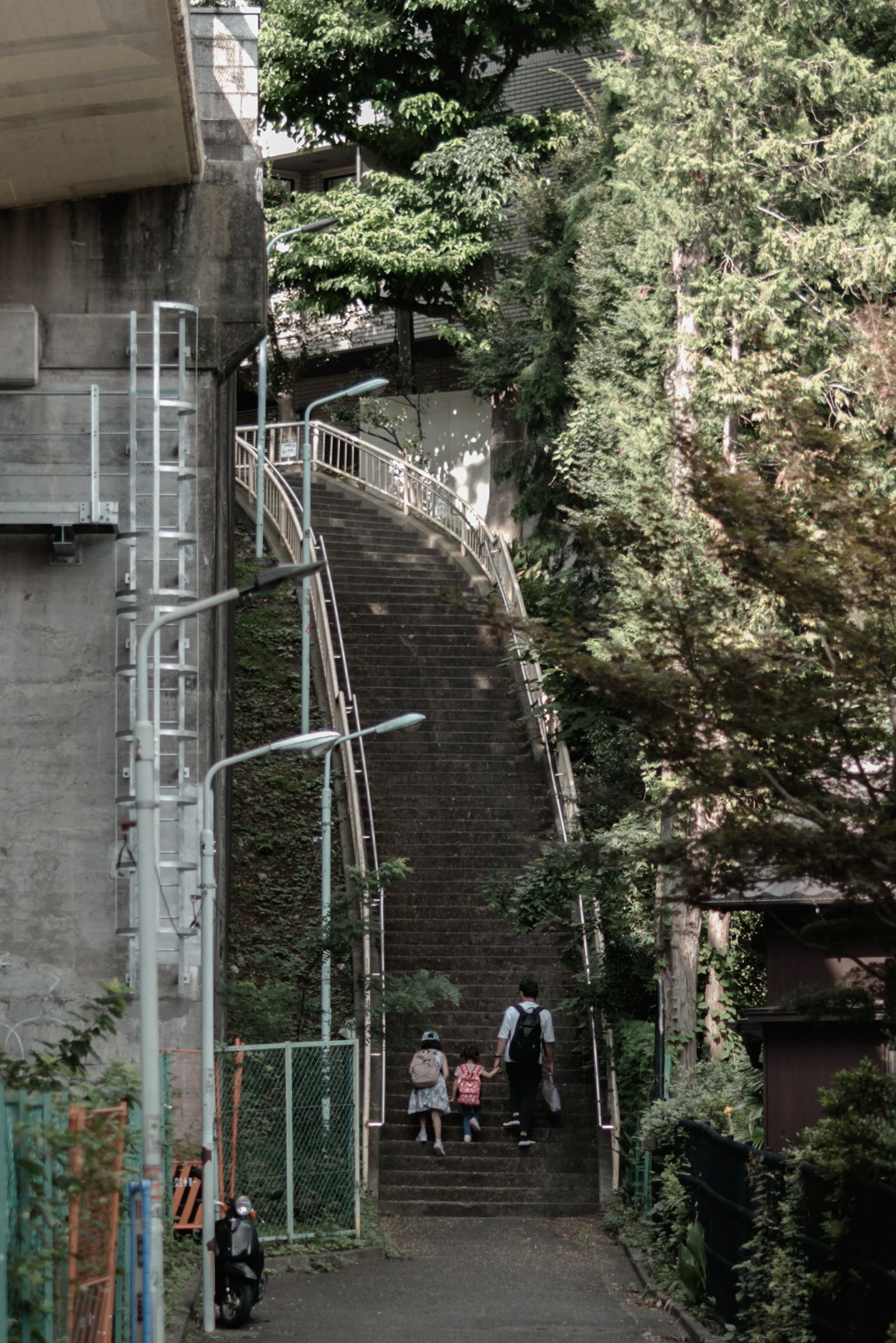 Familie, die eine steile Treppe umgeben von Grün hinuntergeht