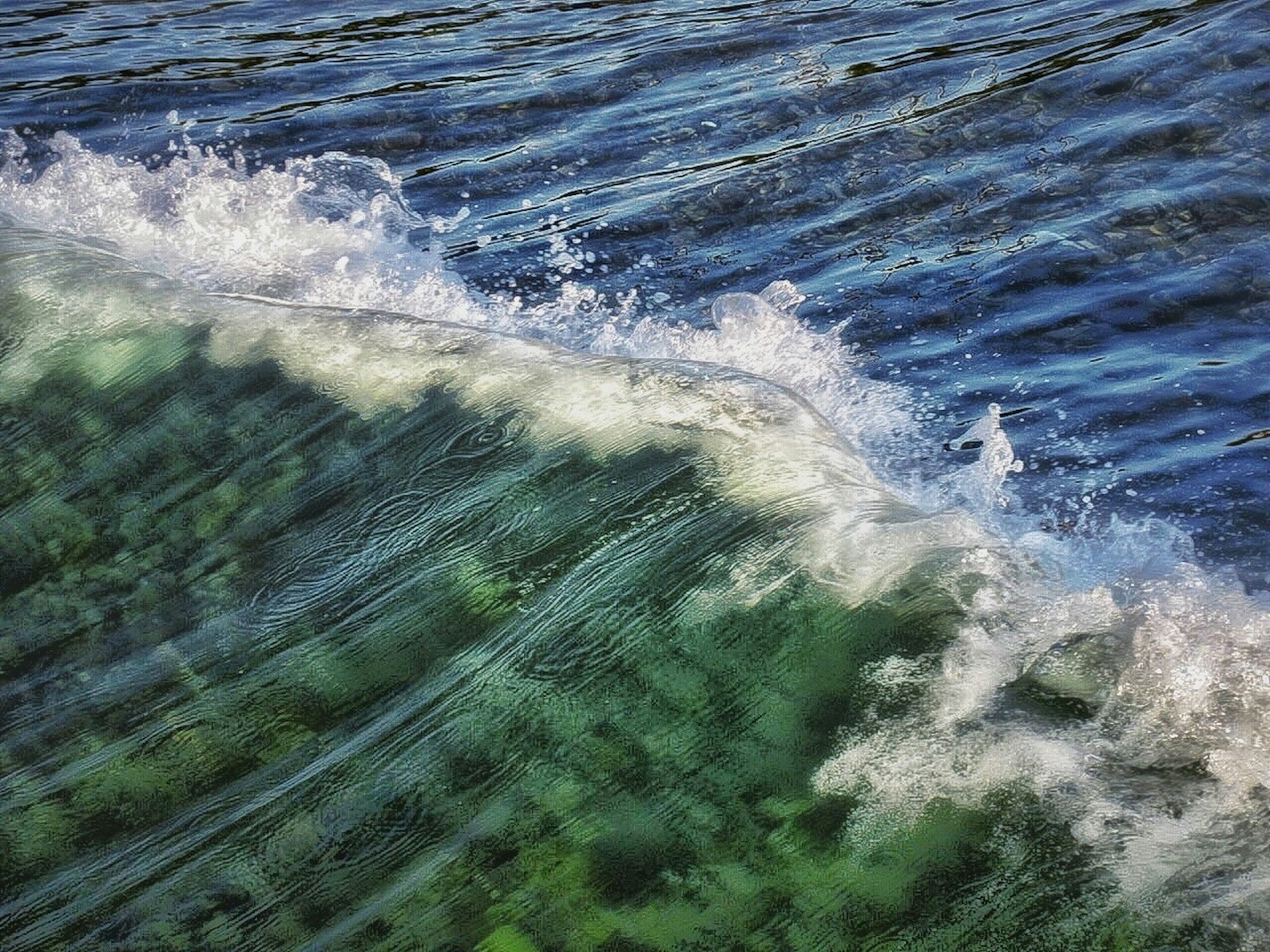 Bella onda che si infrange su una superficie d'acqua blu