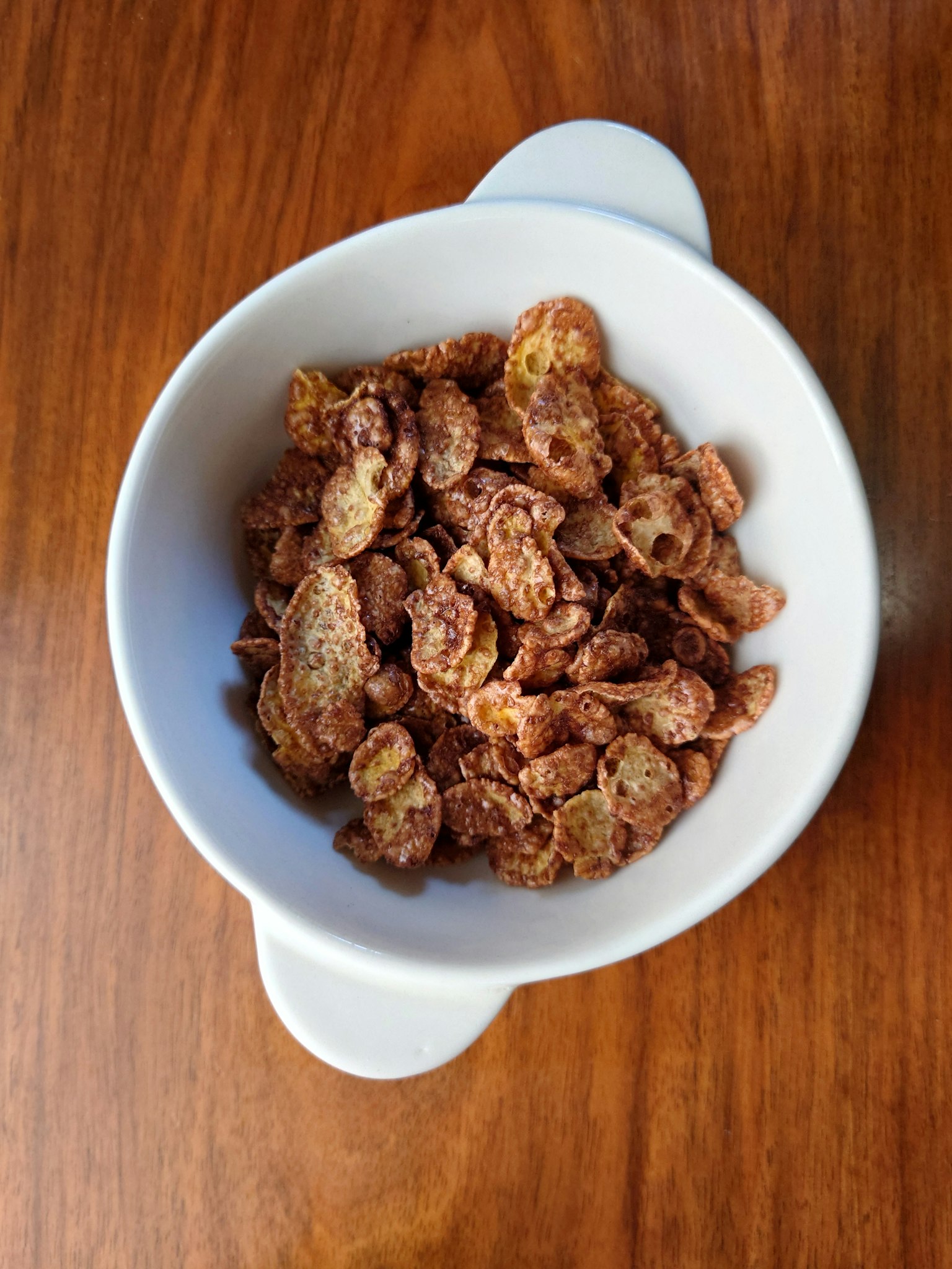 Sereal rasa cokelat dalam mangkuk putih