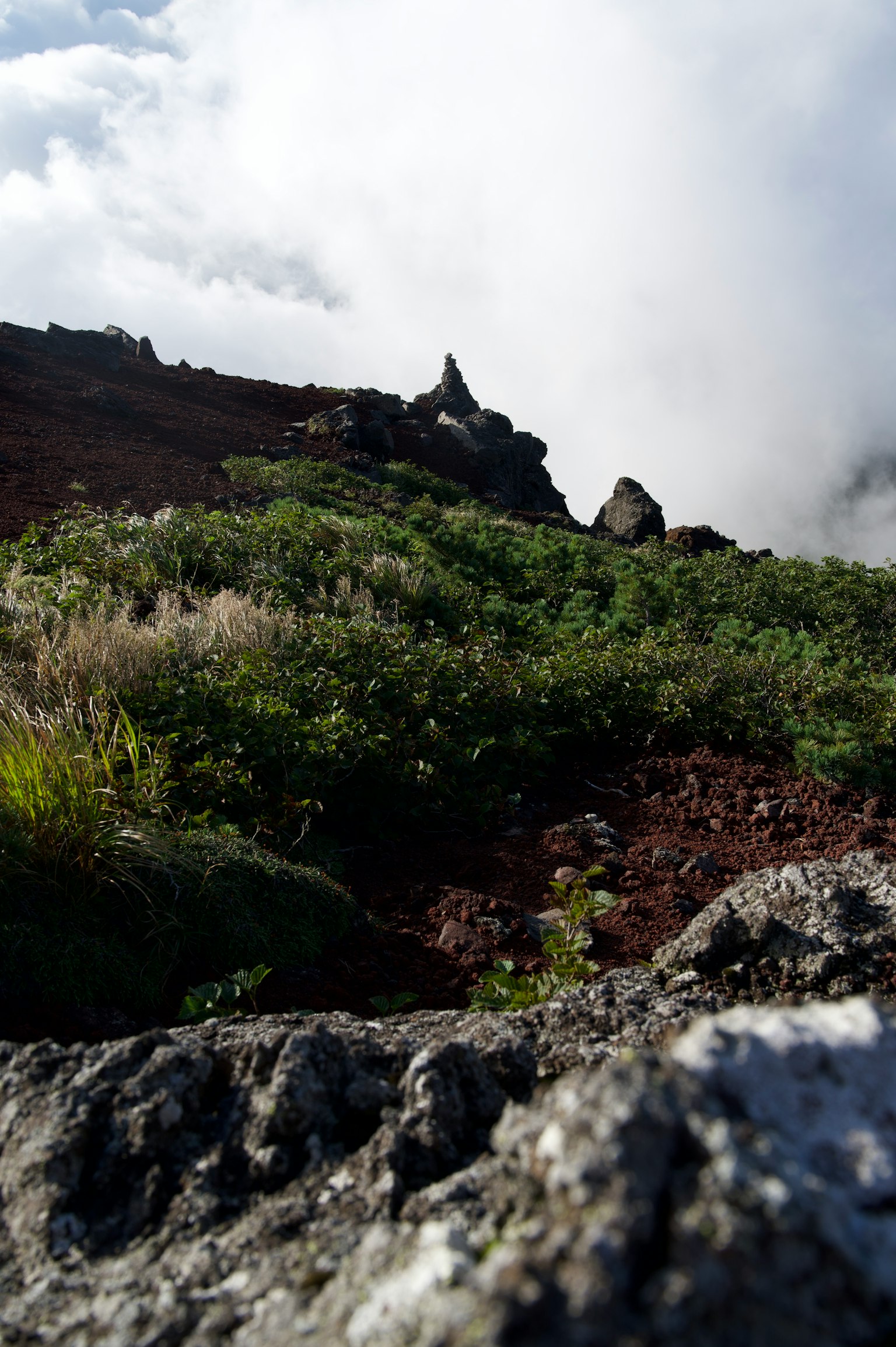 Vegetación exuberante y terreno rocoso en una ladera volcánica