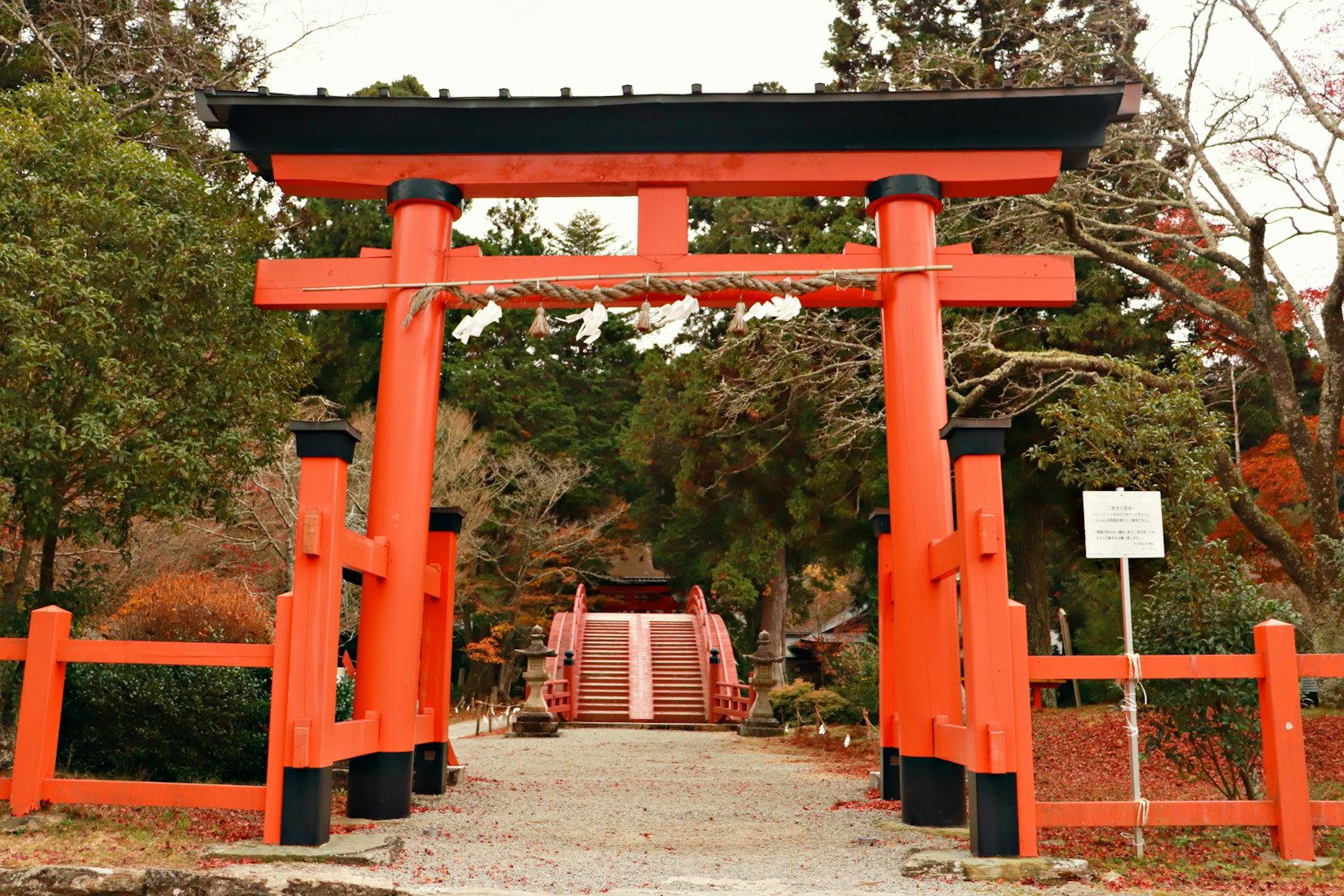 日本神社入口的紅色鳥居被綠色植物環繞