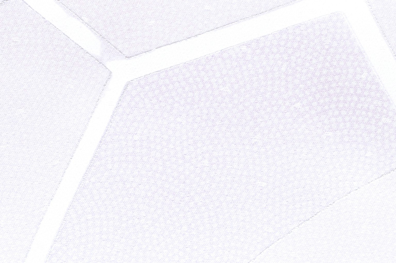 Motivo testurizzato con design a rete fine su sfondo bianco