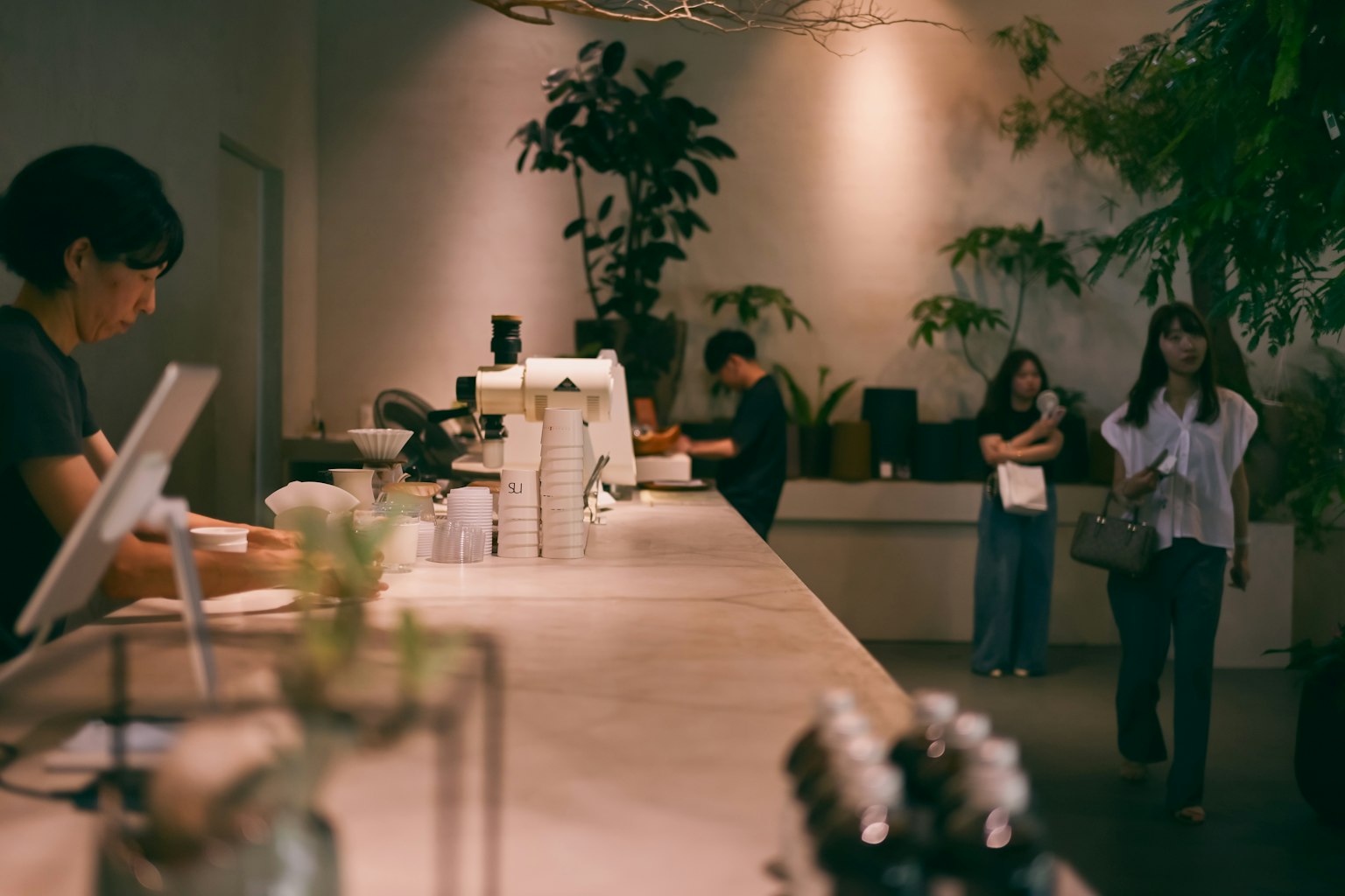 Interior of a cafe with a staff member at the counter and customers nearby featuring decorative plants