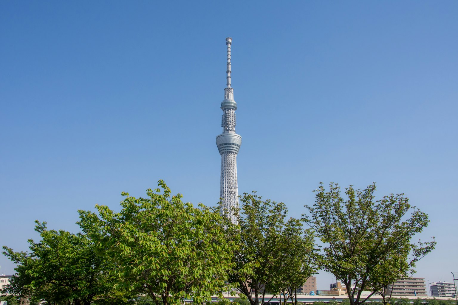 Tokyo Skytree contro un cielo blu chiaro