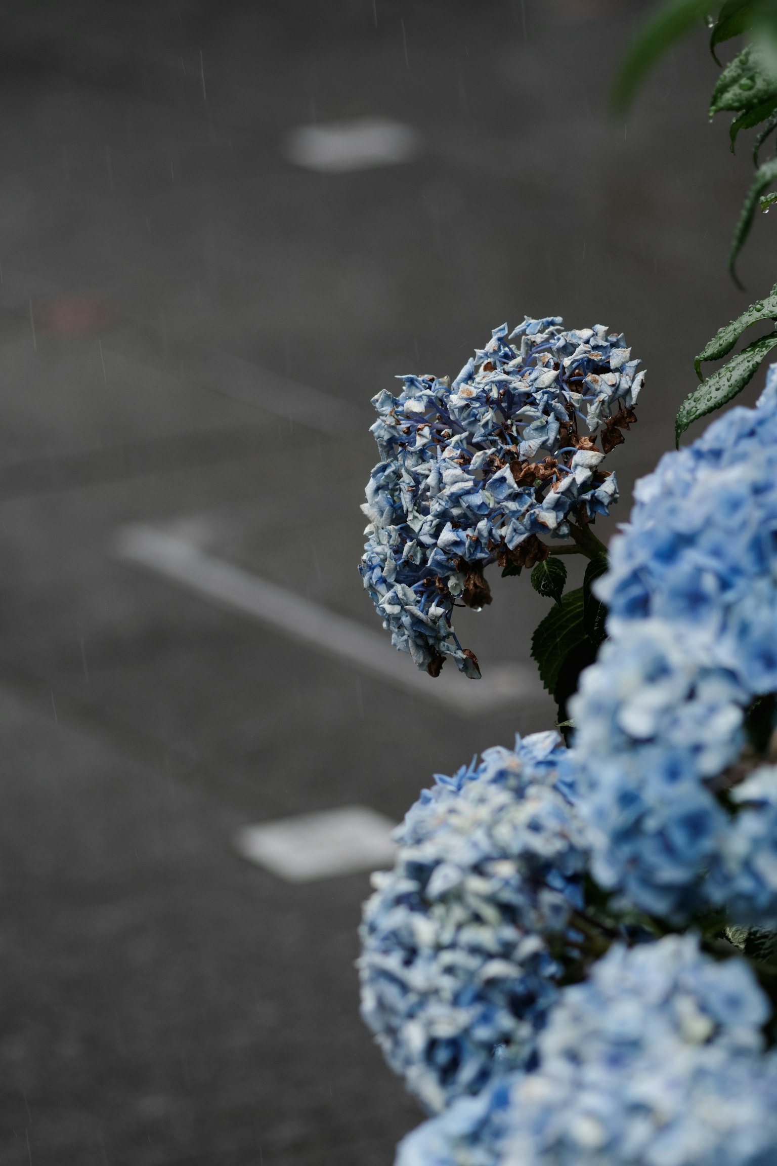 photo-GzVQbHlK4GLjYC0F2mBK-image