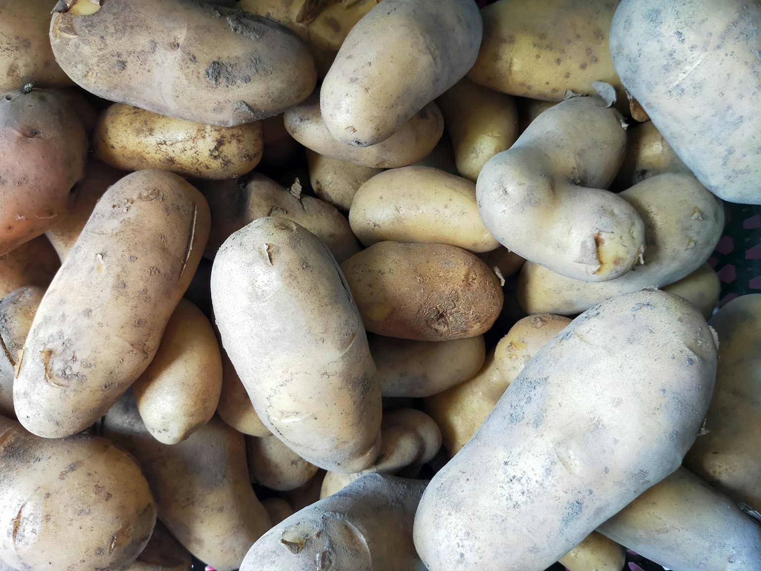 Varie forme e colori di patate impilate insieme