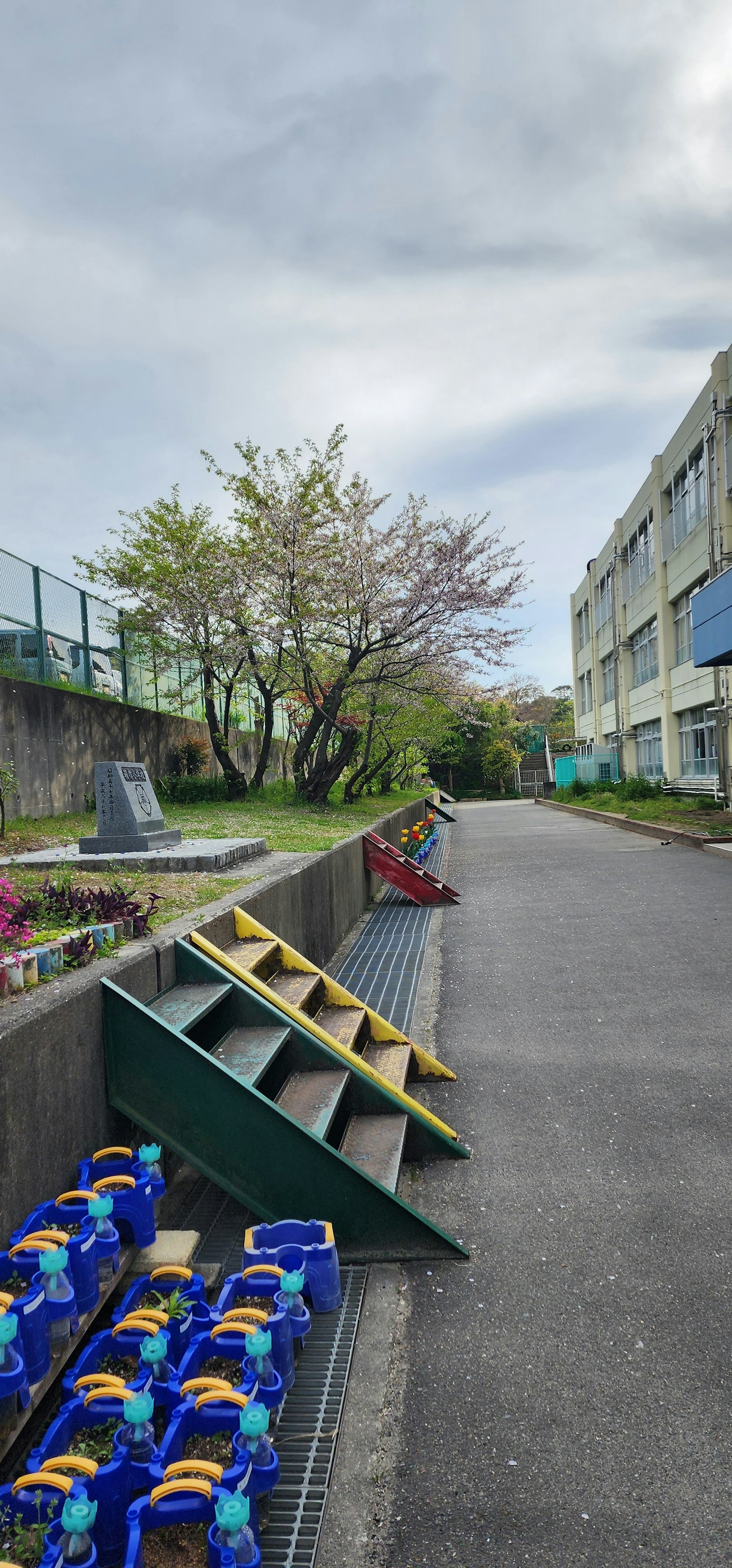 Percorso scolastico con secchi colorati e scale sotto alberi in fiore