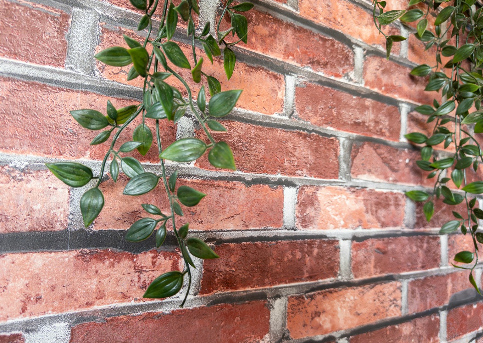 Des feuilles vertes grimpant sur un mur en briques