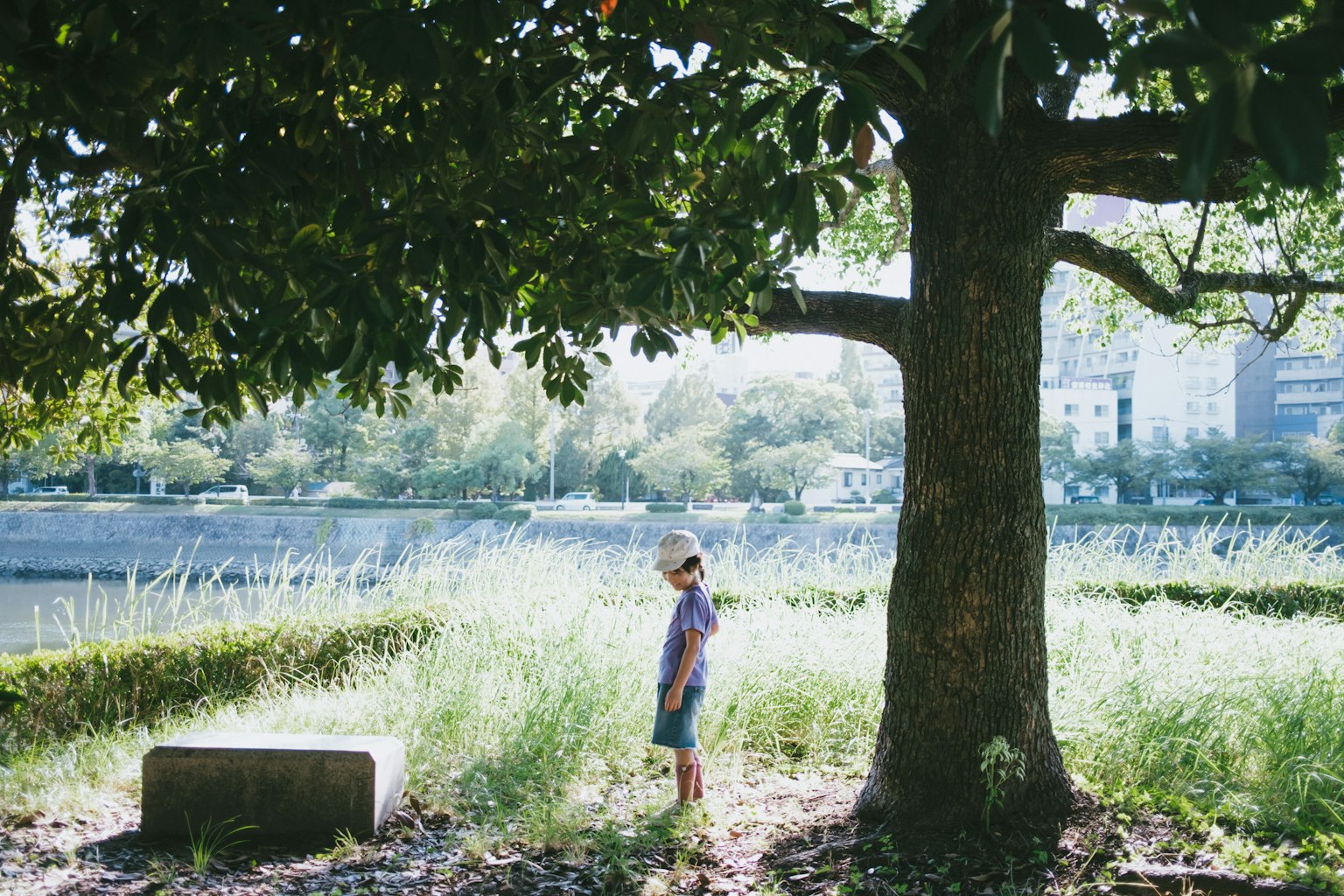 Ein Kind steht unter einem großen Baum mit grünem Gras und einem Fluss im Hintergrund