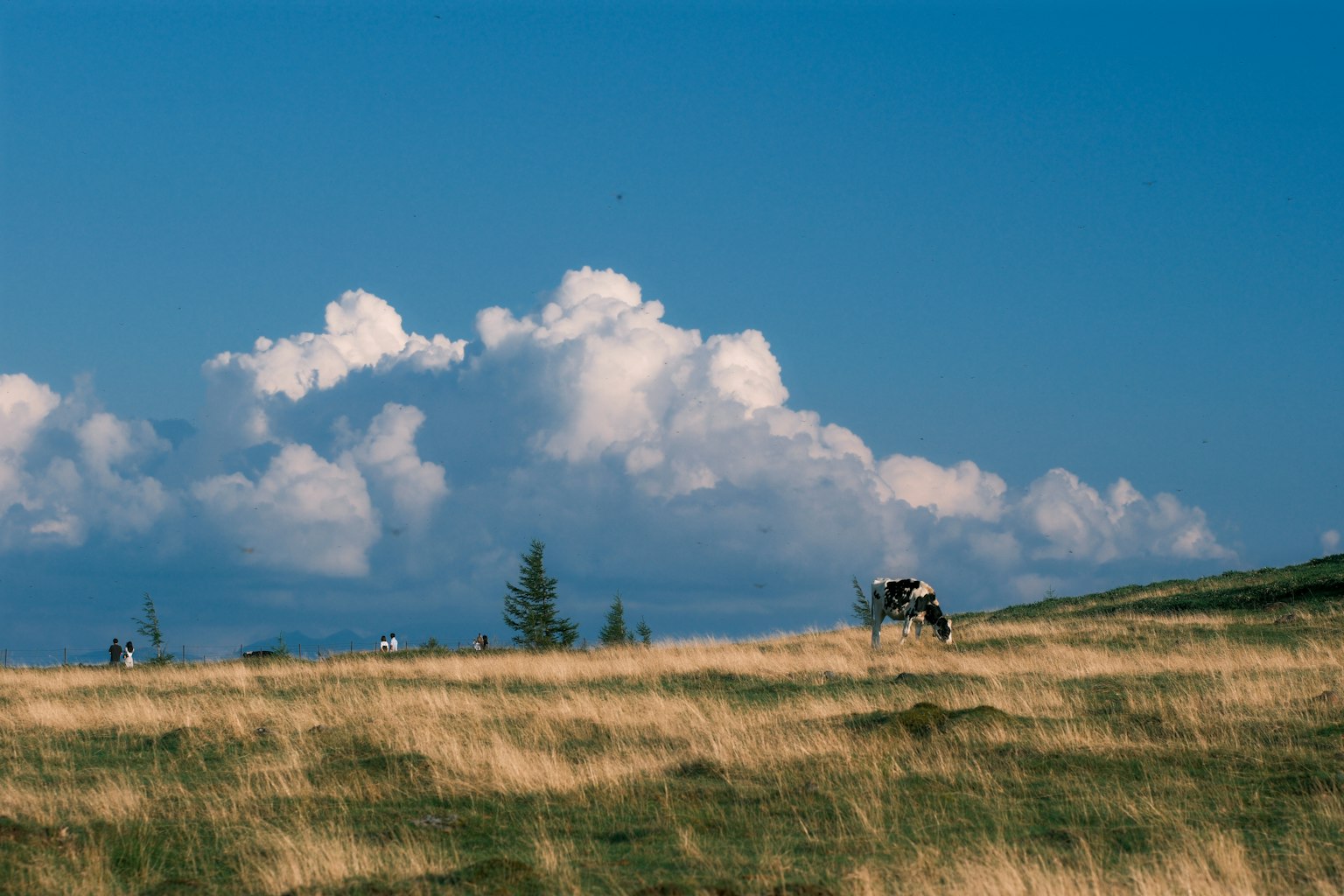 photo-H1fFEKESQK4tvXMCIakM-image