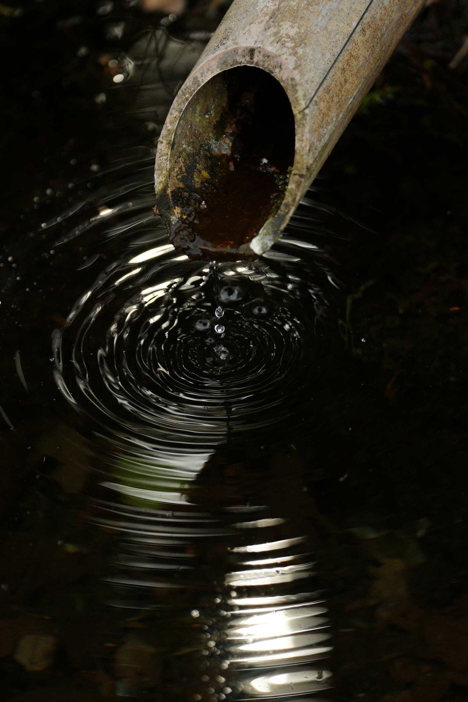 Bambusrohr, das Wasser gießt und Wellen auf der Oberfläche erzeugt