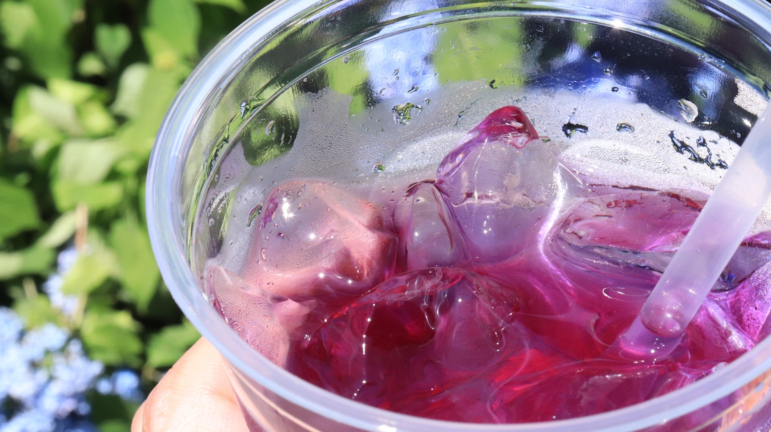 Hand hält einen Becher mit lila Getränk und Eiswürfeln