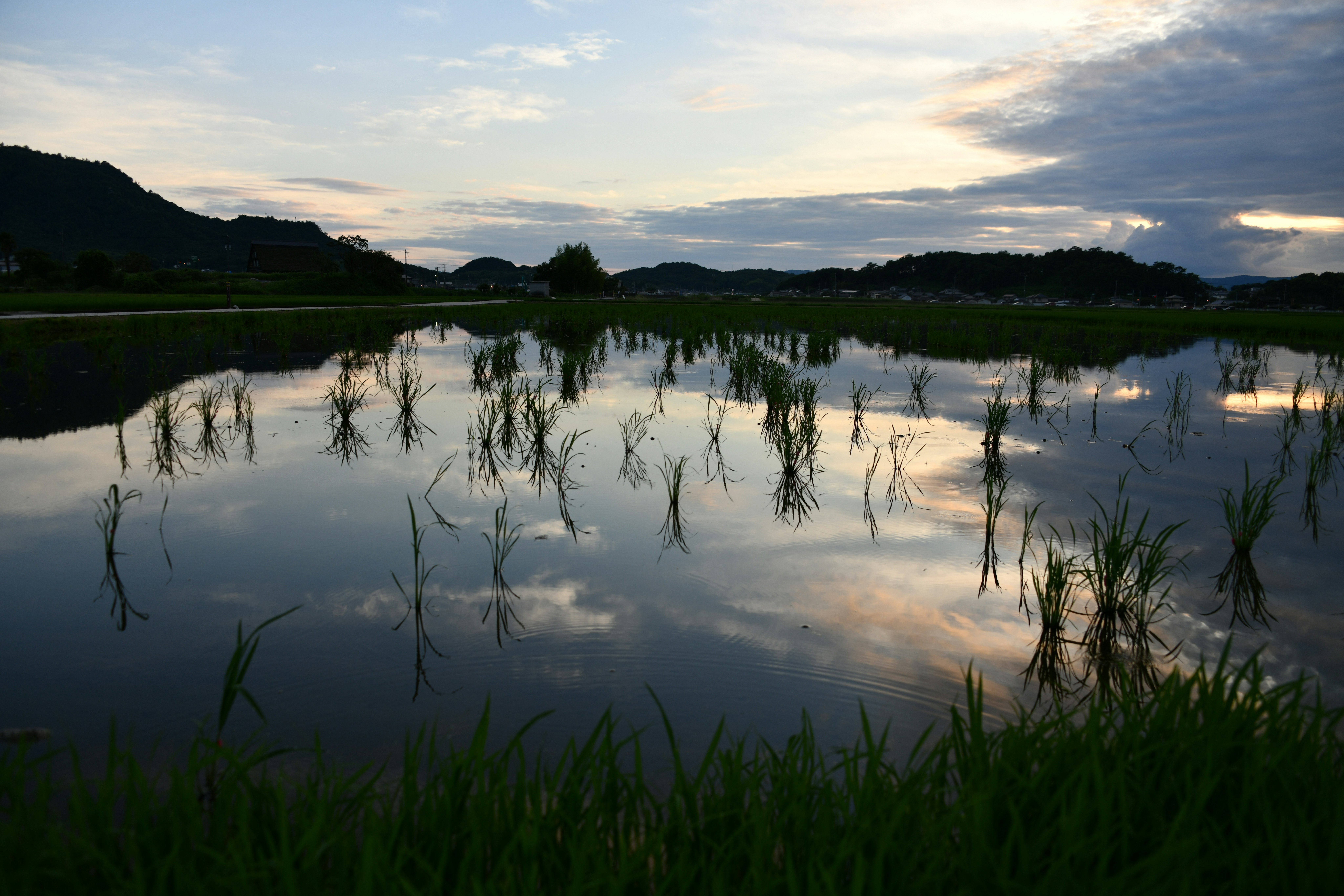 夕暮れの水田に映る空と山並み