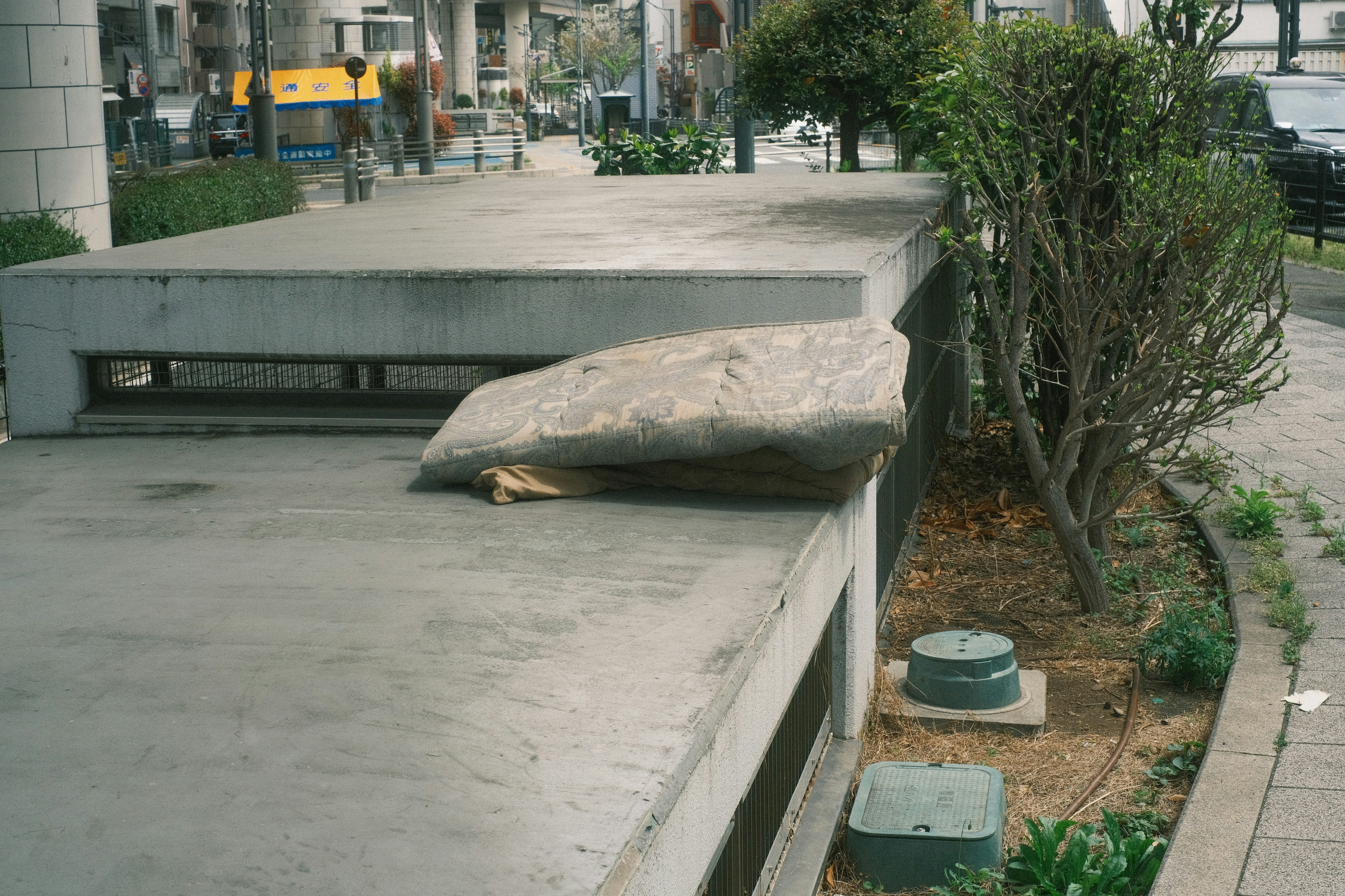 banc en béton avec verdure le long d’un passage extérieur