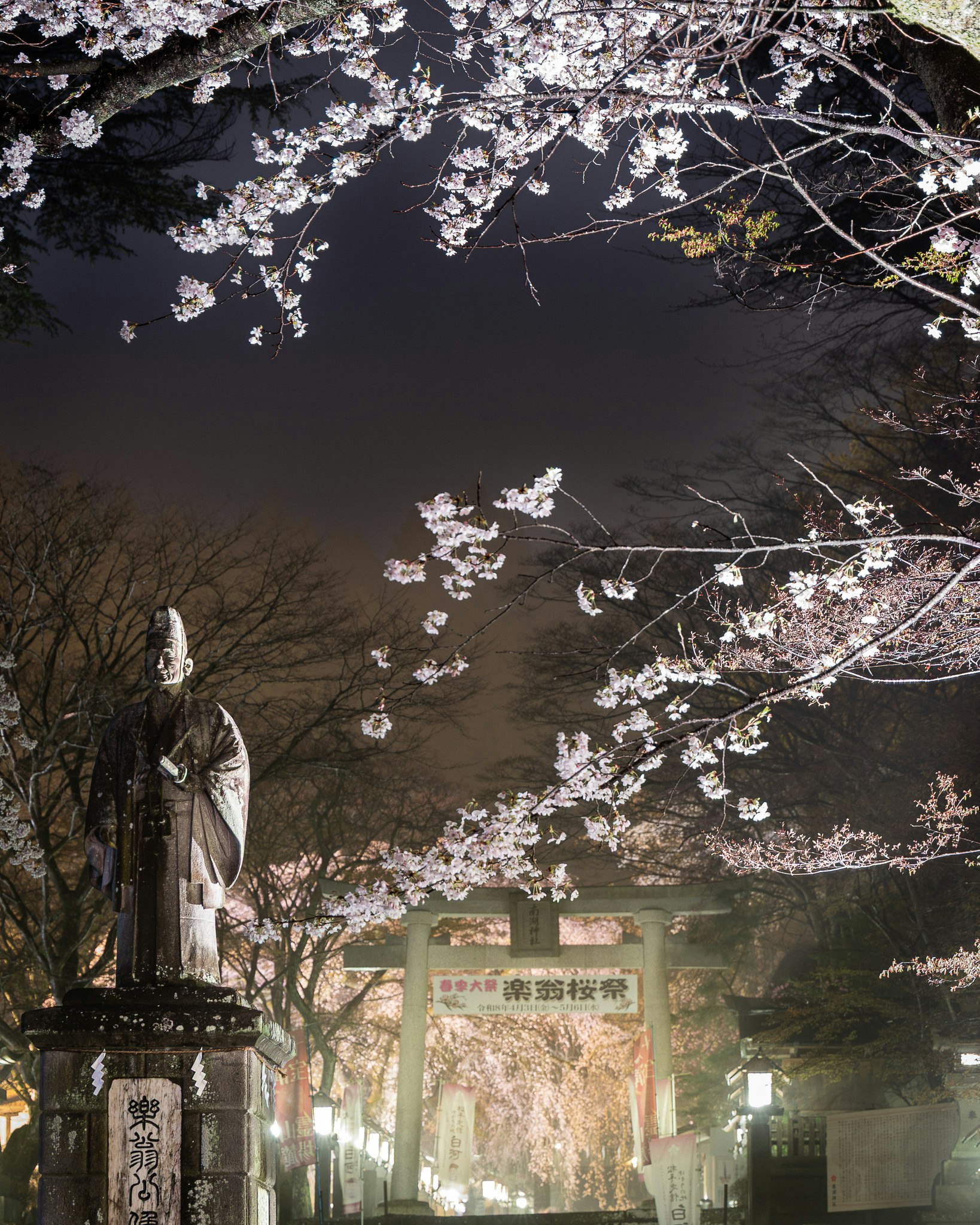 桜の花が枝に咲く夜の参道と石造りの灯籠
