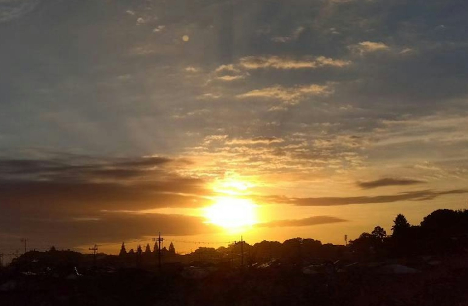 Un beau coucher de soleil avec des nuances douces d'orange et de jaune, silhouettant des arbres et des bâtiments