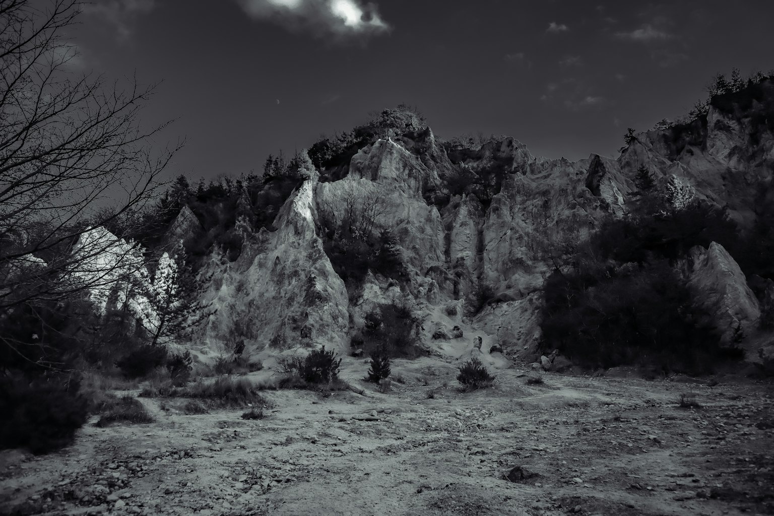 黑白风景，岩石悬崖和稀疏树木