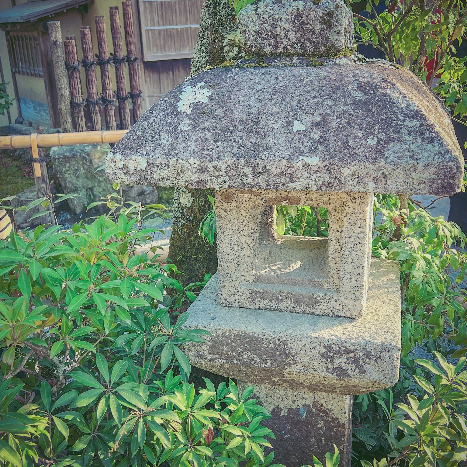 Lanterne en pierre entourée de plantes vertes luxuriantes dans un jardin japonais