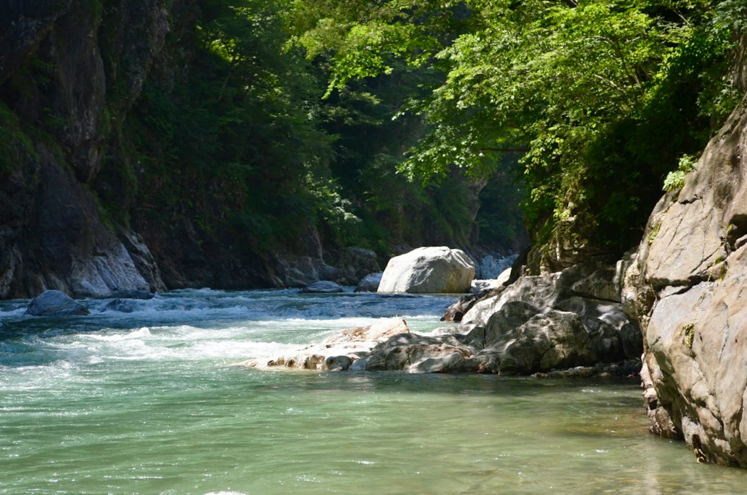 Un paysage magnifique d'un ruisseau clair entouré d'arbres verts