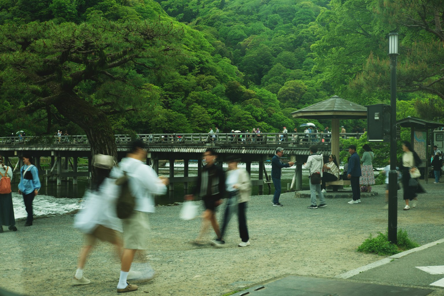 photo-H6KpHey9nUYPWI3pZSaB-image