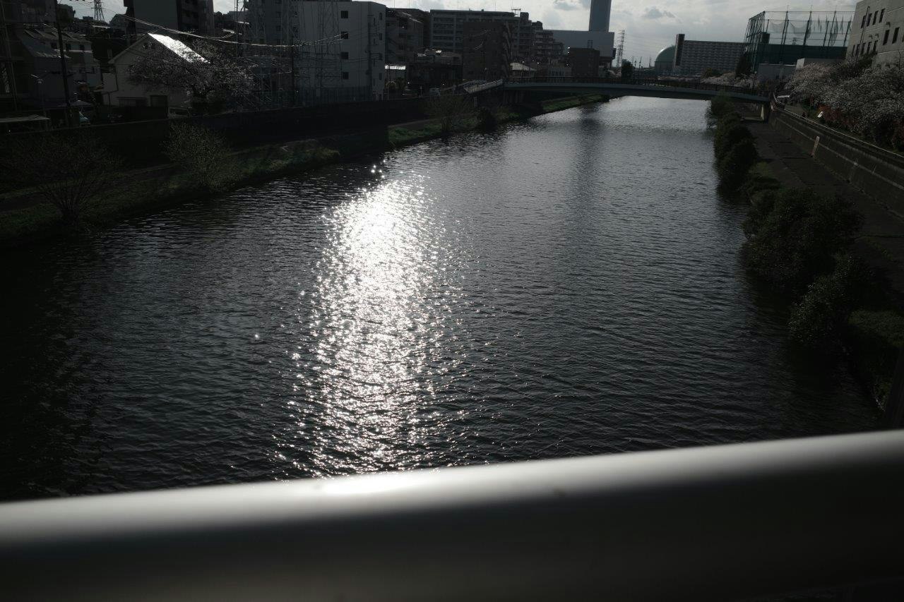 escena urbana junto a un río con reflejos de luz en el agua
