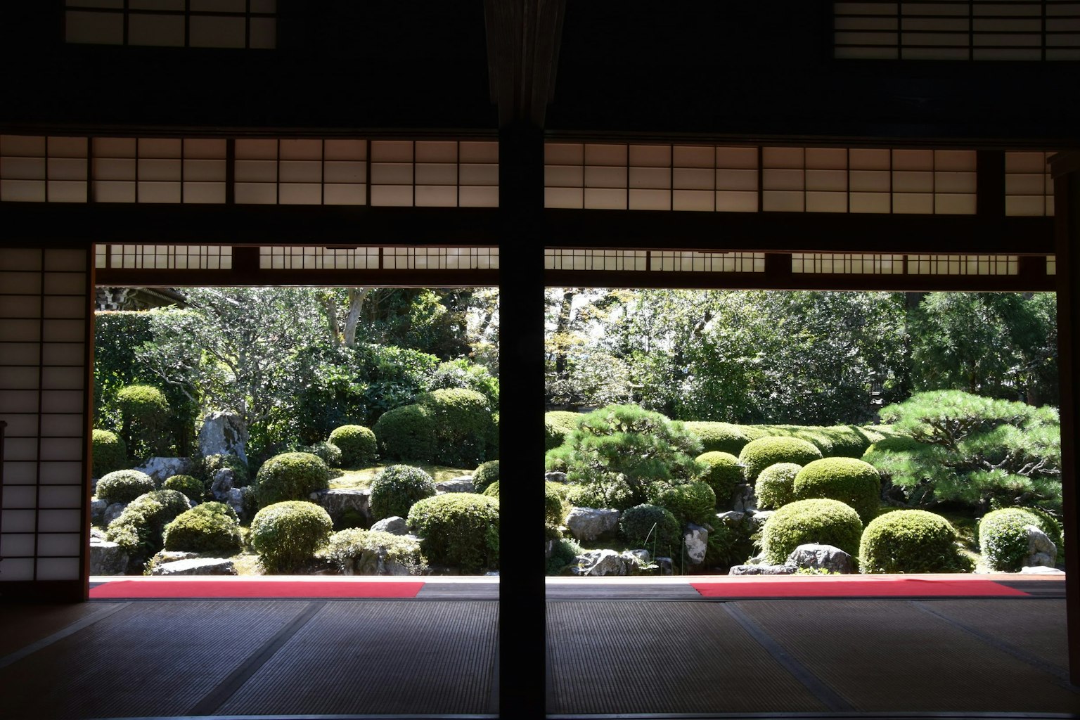 Pemandangan taman Jepang melalui layar shoji dengan vegetasi hijau subur dan karpet merah