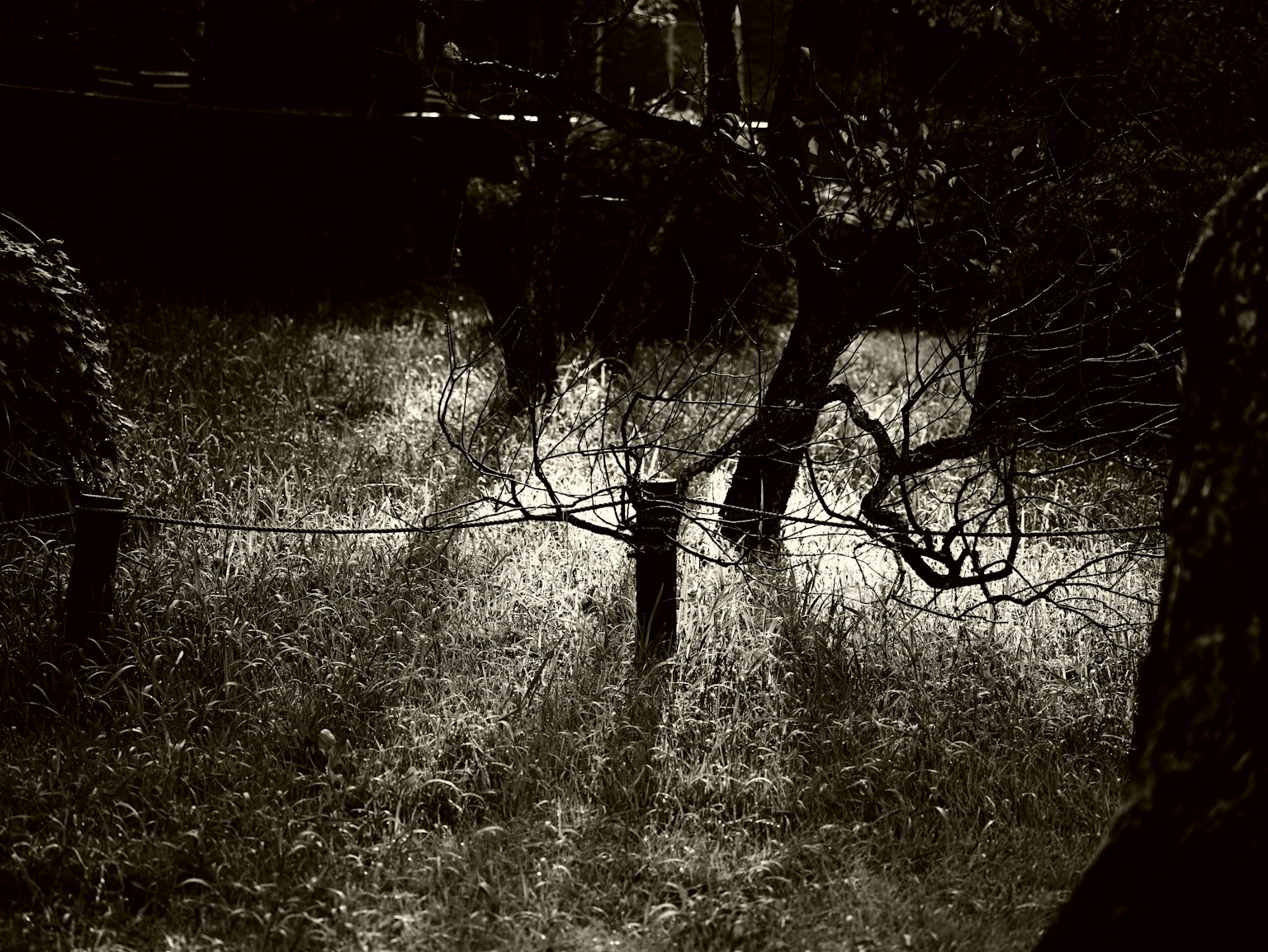photo-H7PZWyXSsZtD5FNCSSuf-image