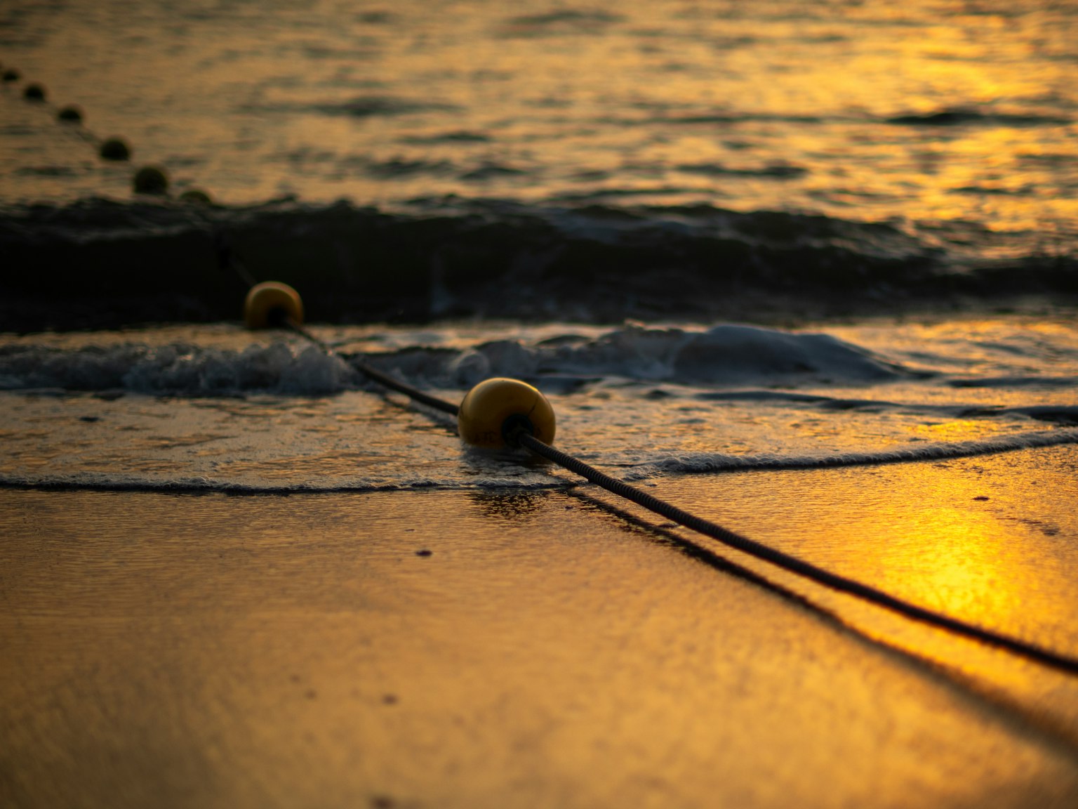 Boe e corda lungo una spiaggia scintillante al tramonto