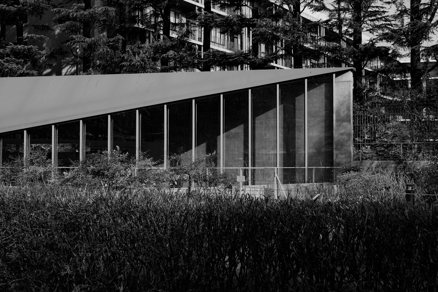Design architettonico moderno con una struttura a tetto inclinato circondata da vegetazione