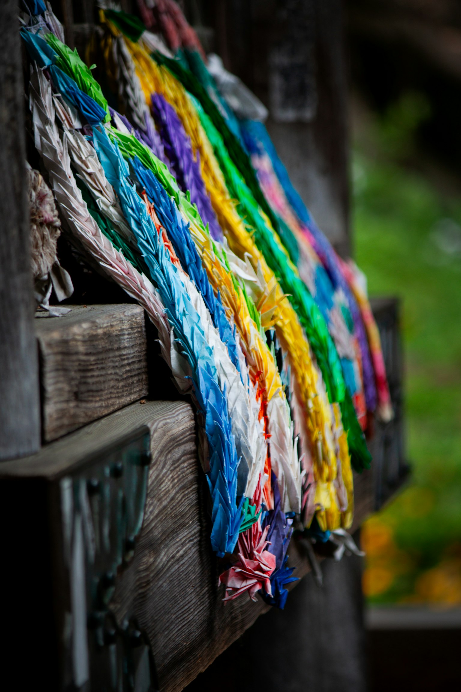 다채로운 꼰 밧줄이 나무 선반에 걸려 있다