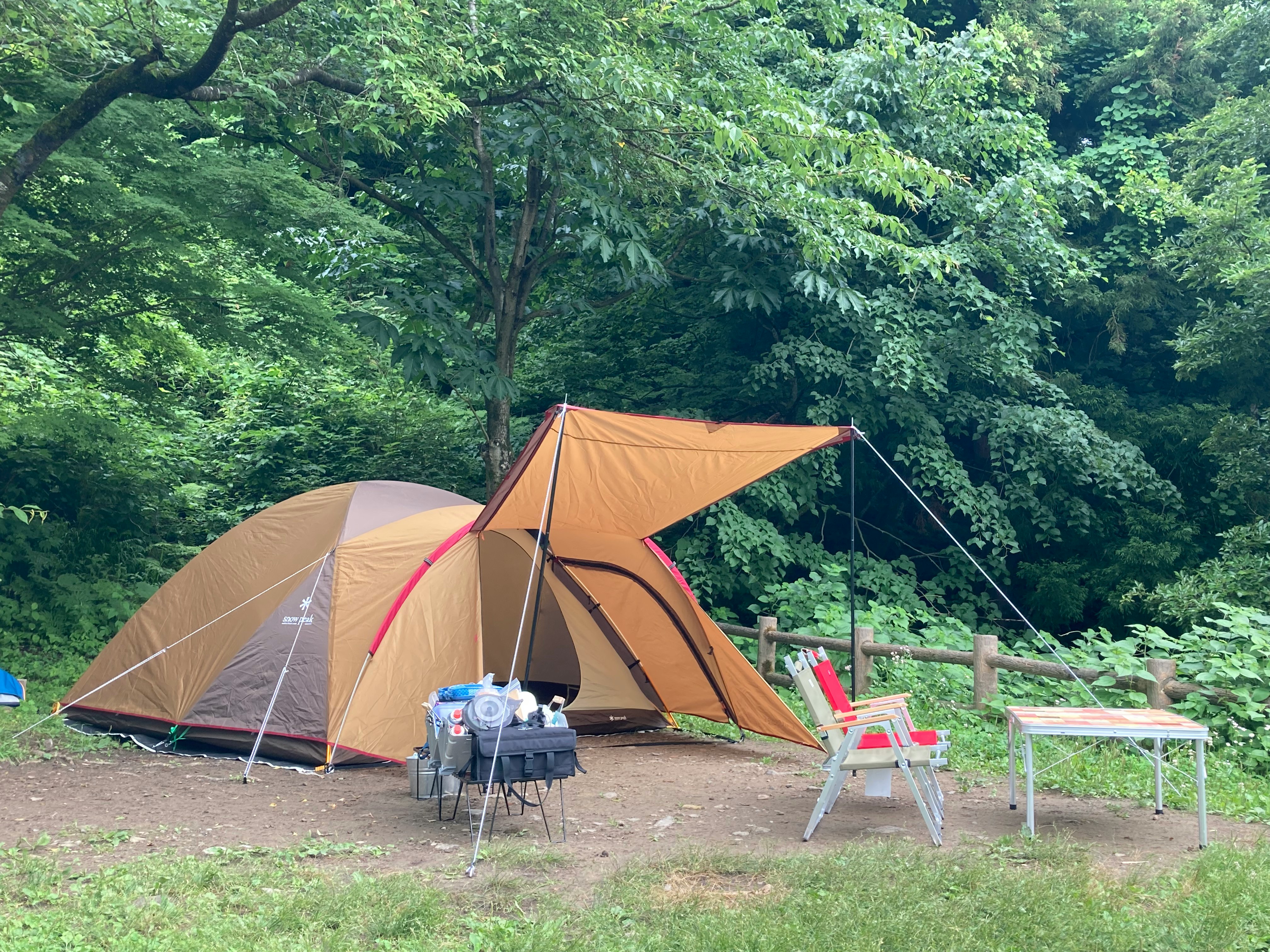 キャンプ用のテントと赤い椅子がある緑の森の風景