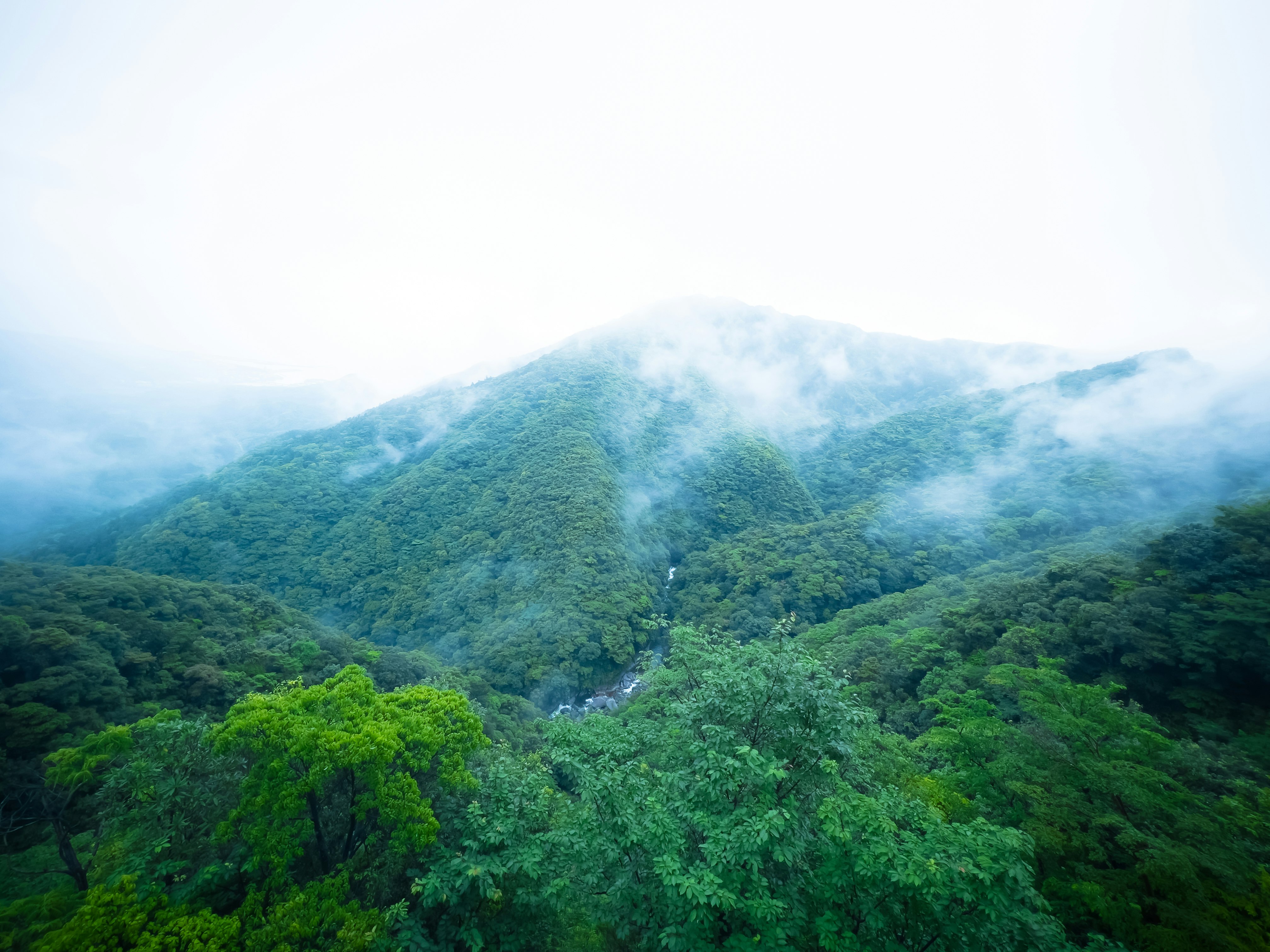 霧に包まれた緑の山並みのパノラマ
