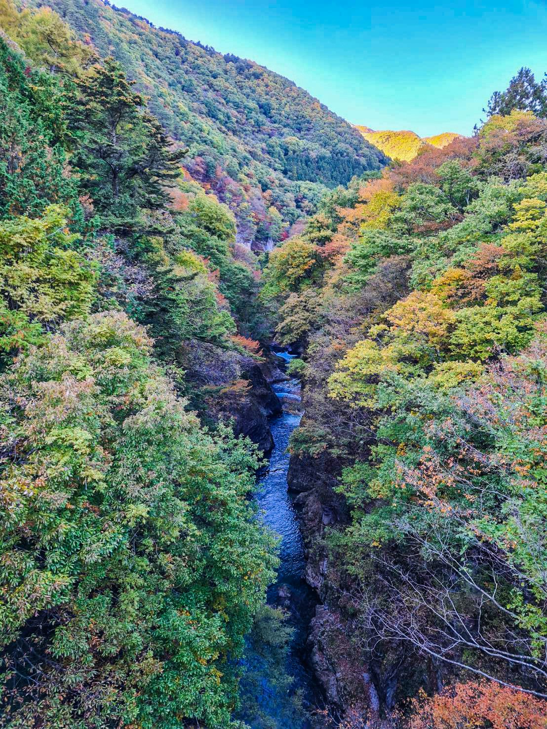 fiume che attraversa una valle con la vegetazione autunnale dei monti