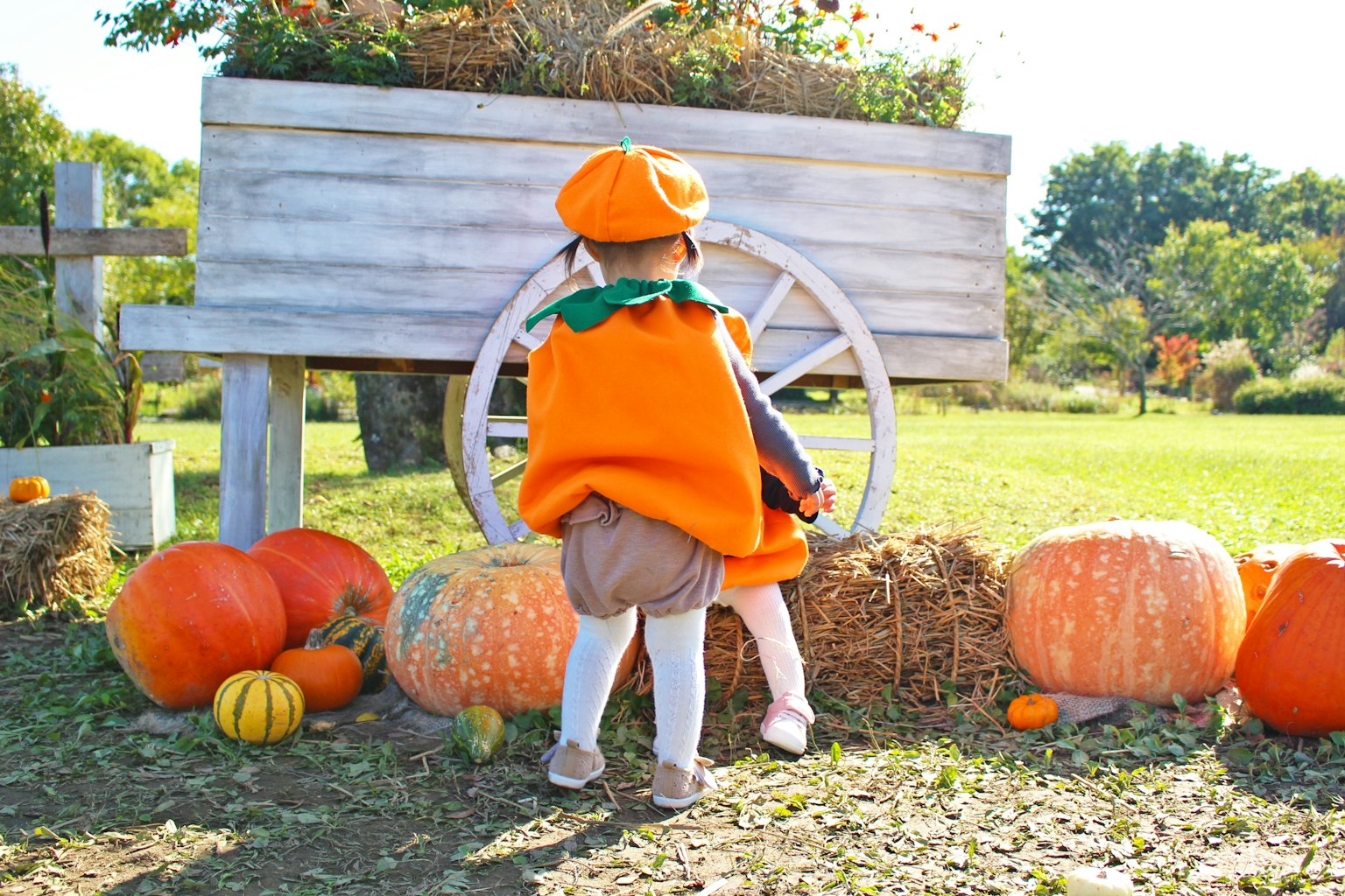Bambino in costume di zucca vicino a zucche e balle di fieno