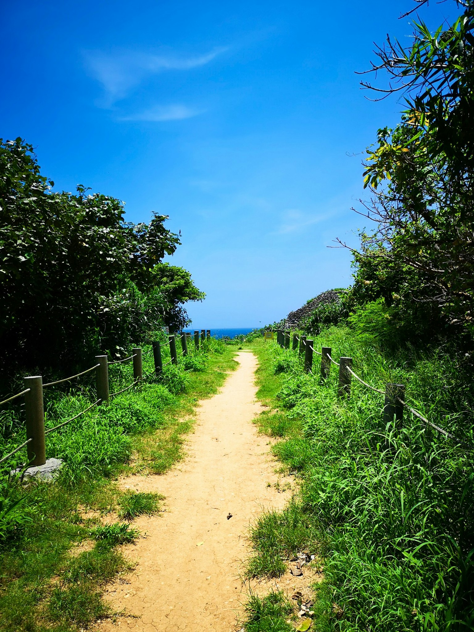 A scenic pathway leading to the ocean with clear blue sky