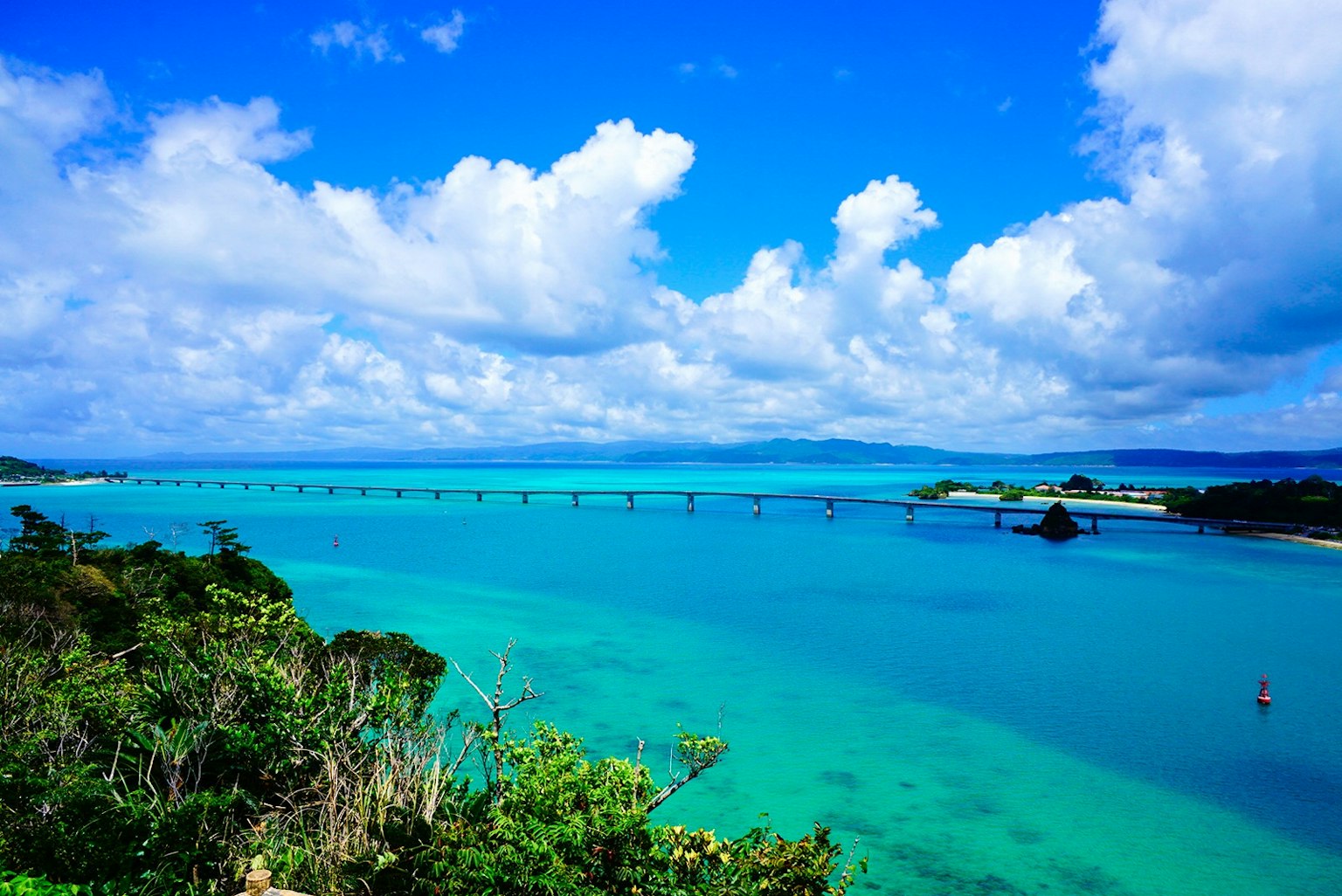 ทิวทัศน์ทะเลและท้องฟ้าสีฟ้าที่สวยงามพร้อมพืชสีเขียวตามชายฝั่ง