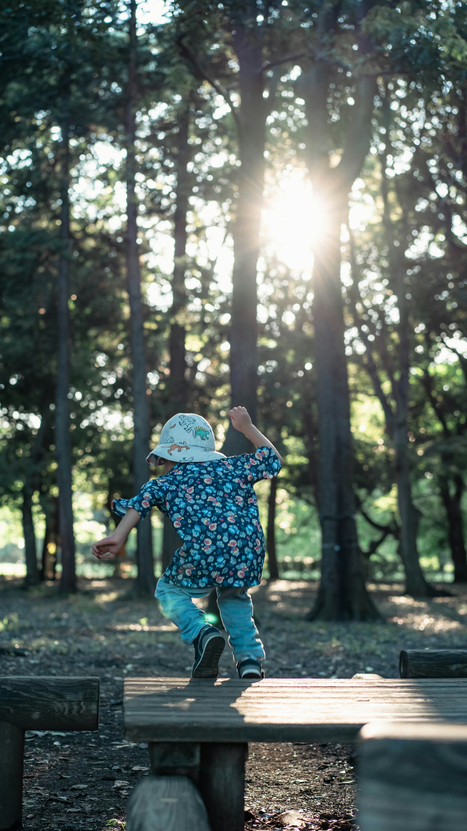 Enfant jouant dans la forêt vue de dos lumière du soleil filtrant à travers les arbres