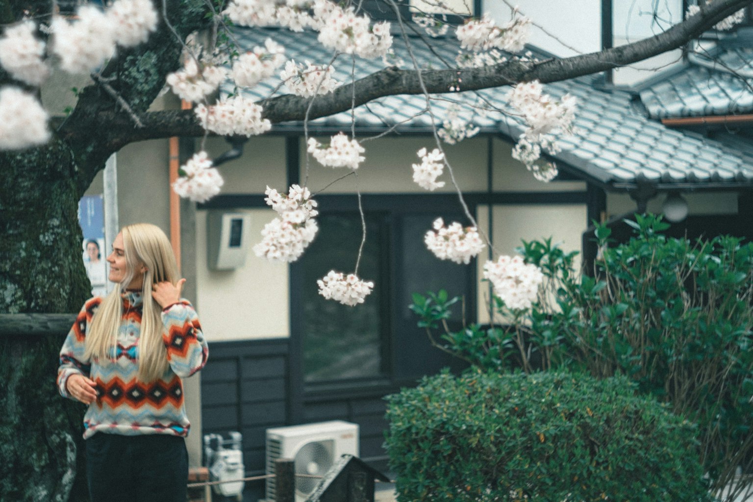Seorang wanita berdiri di bawah pohon sakura dengan rumah tradisional Jepang di latar belakang