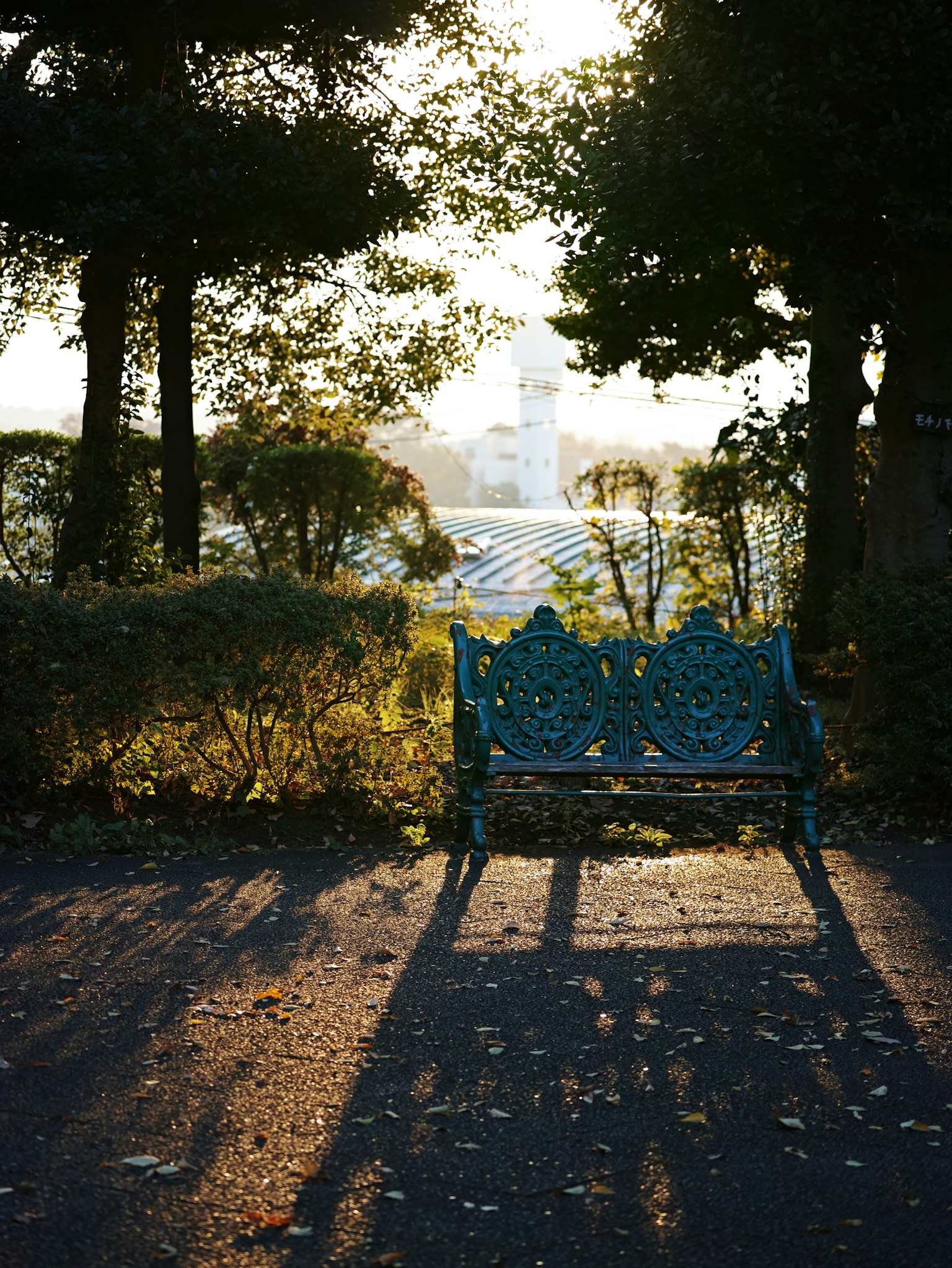 Un banco de parque azul bañado por la luz del atardecer