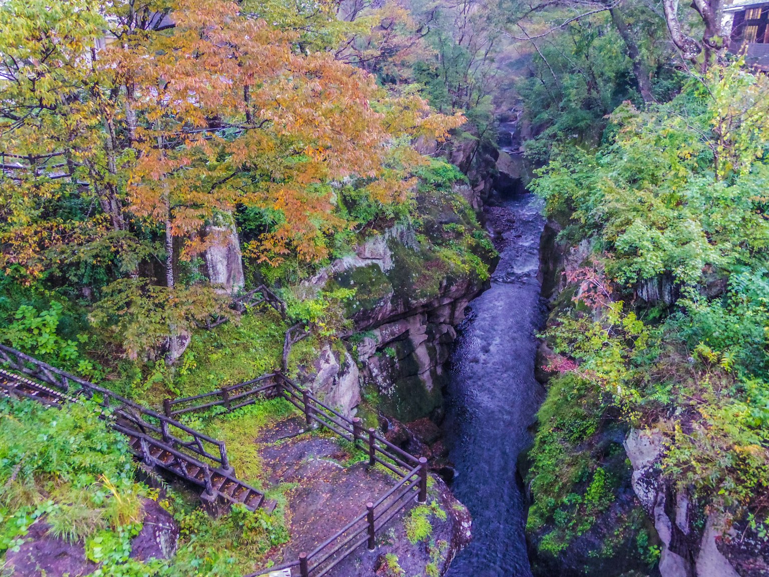 被绿色和橙色树木环绕的小溪风景